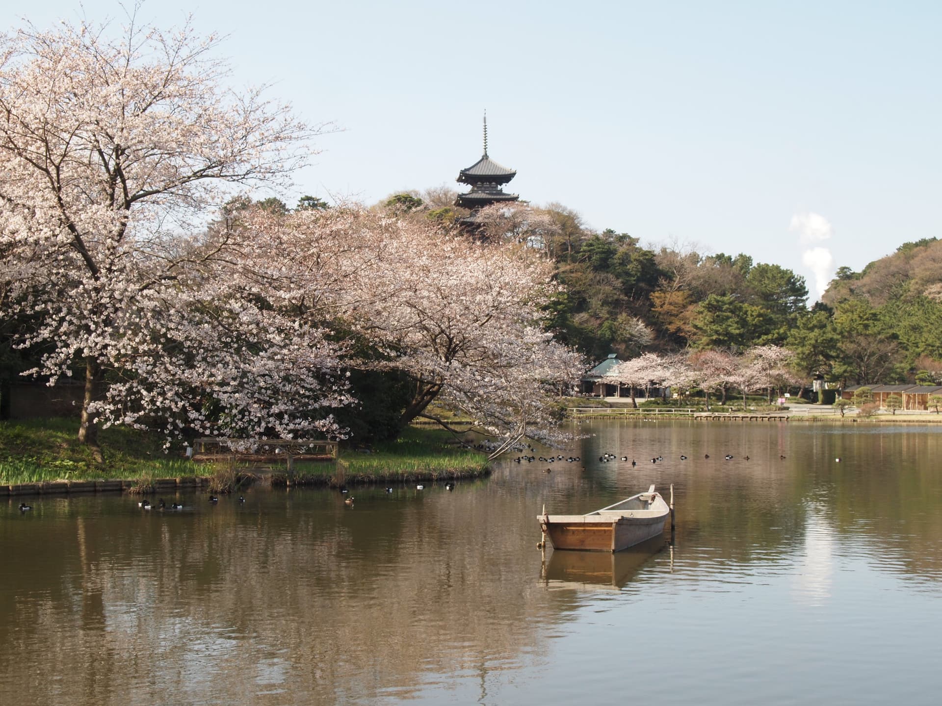 Sankeien Garden Ticket - تصویر 9