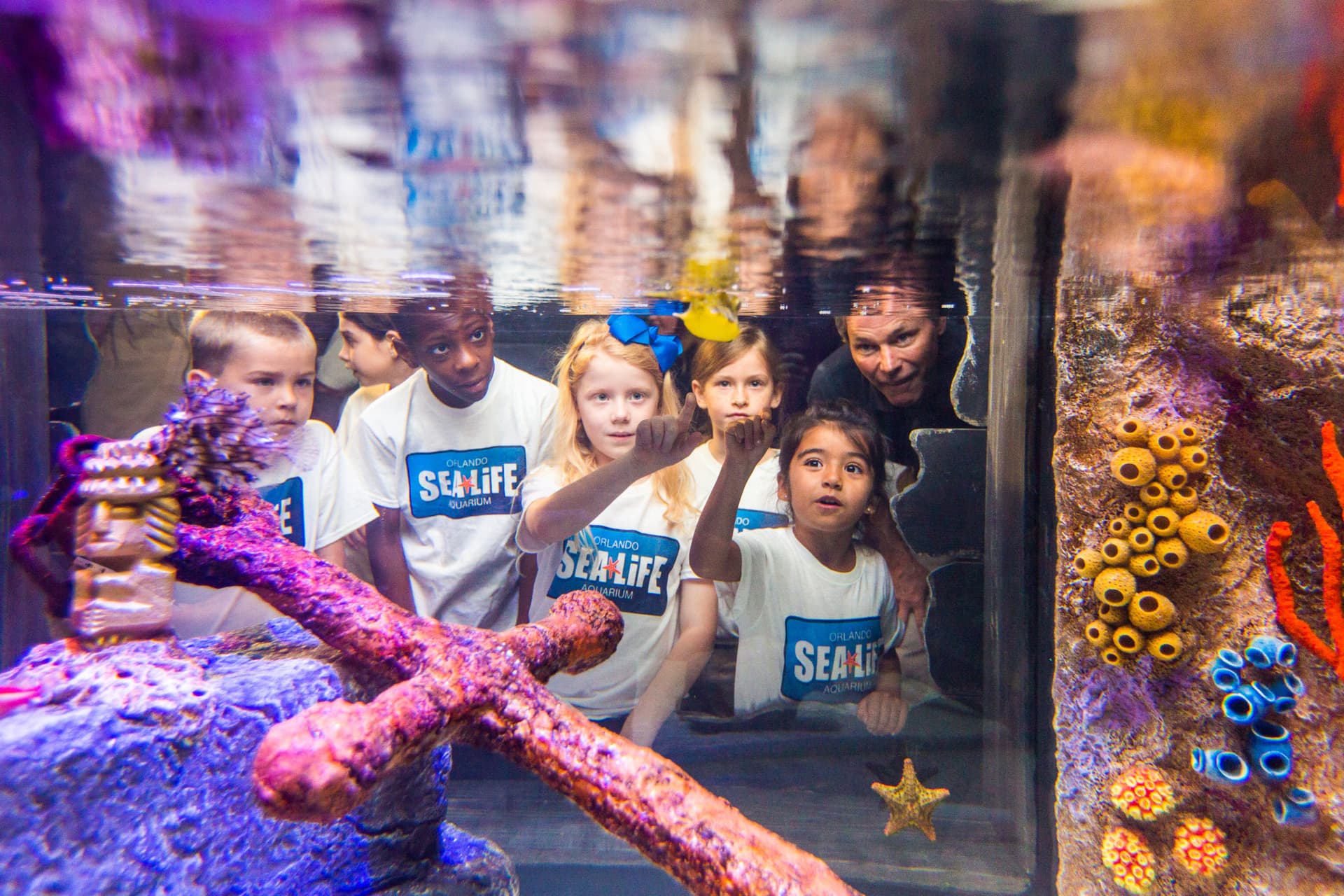 Go City Orlando All-Inclusive Pass: Save up to 50% on Attractions - تصویر 25
