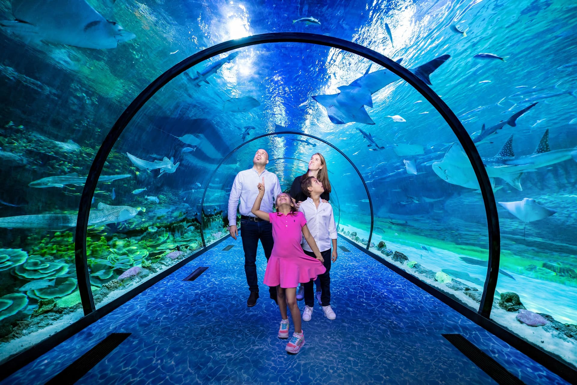 The National Aquarium Abu Dhabi Ticket - تصویر اصلی
