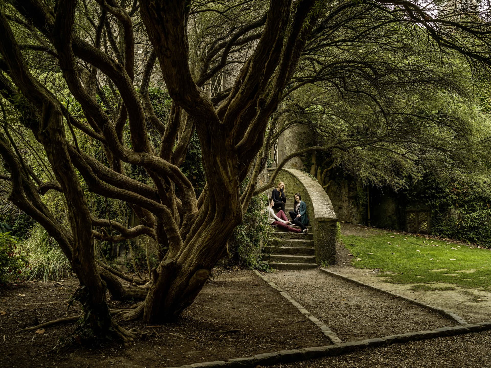Go City Dublin Explorer Pass: Save up to 50% on Attractions - تصویر 23