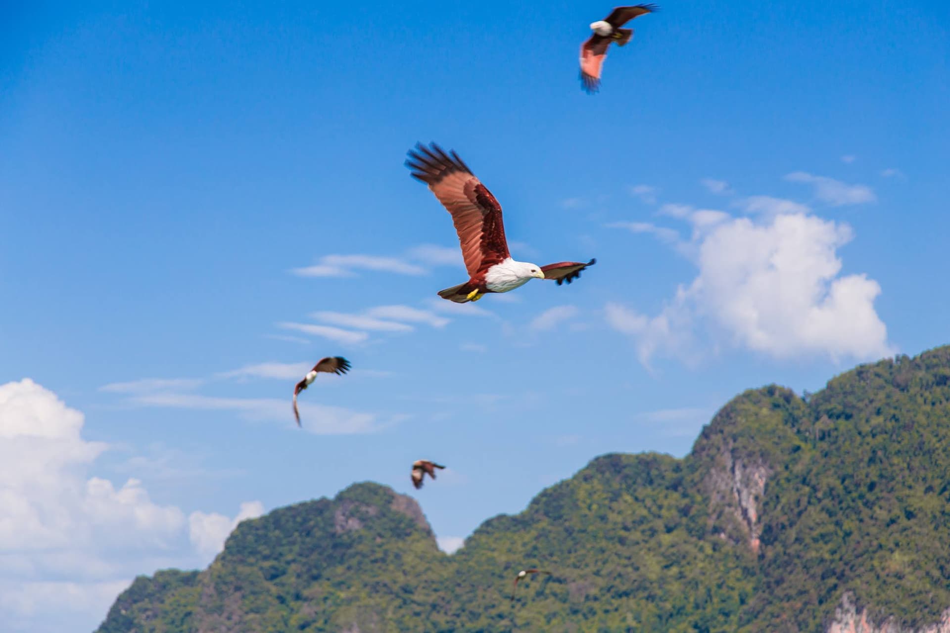 James Bond Island, Phang-Nga Bay, Hong Island, and Khai Island Tour from Phuket - تصویر 6