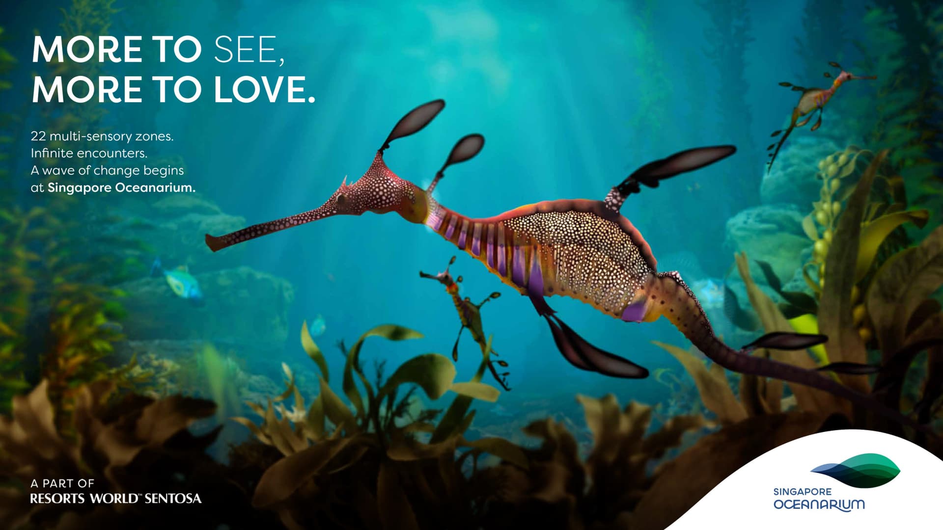 Singapore Oceanarium Insider Experience - تصویر اصلی