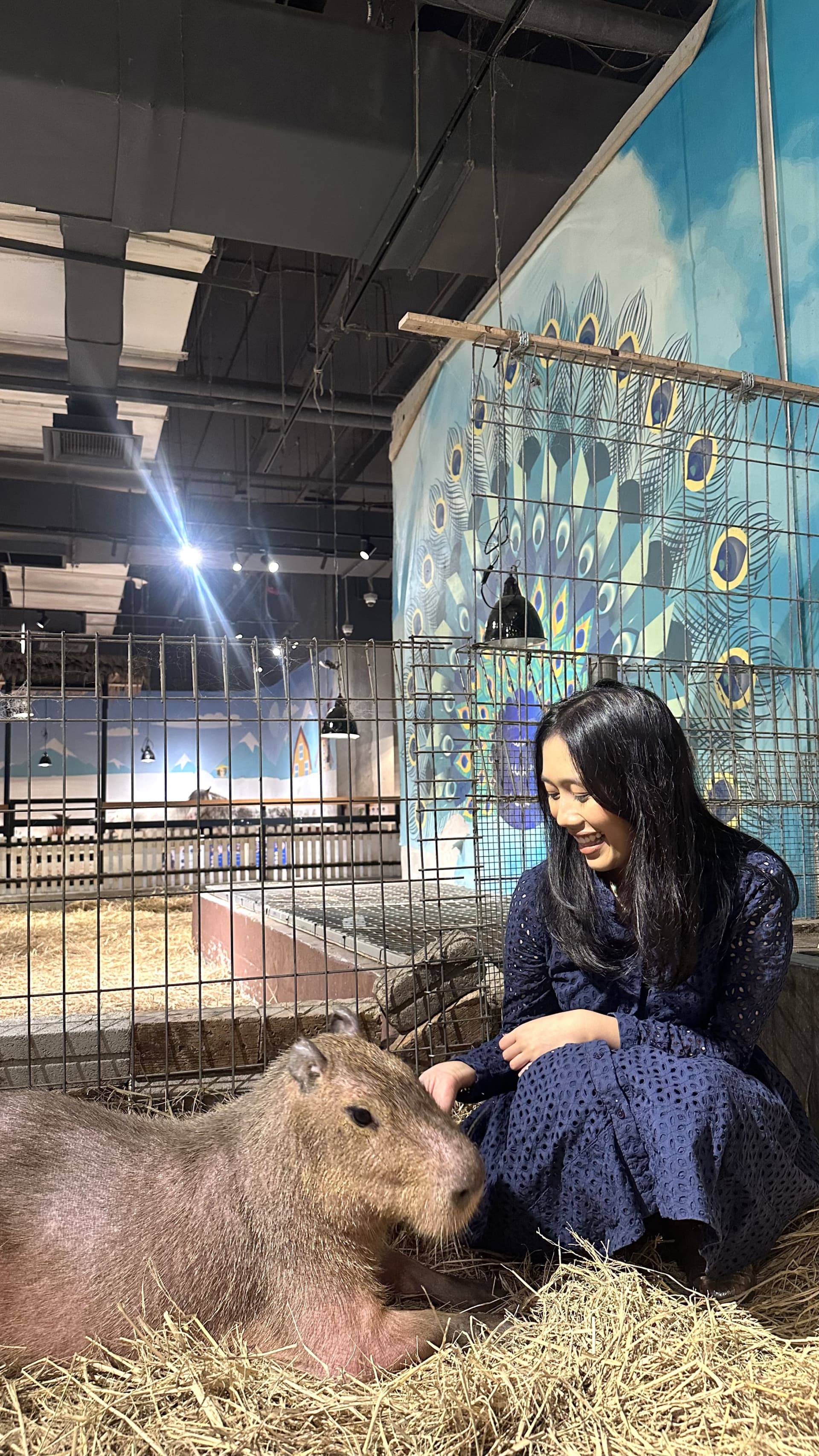 Just Farm Indoor Zoo Kuala Lumpur  (Previously Known As Just Pets Megastore) - تصویر 3