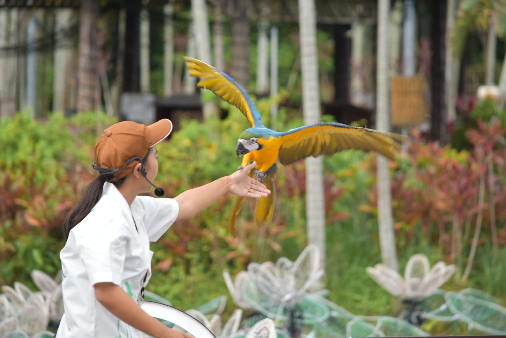 Okinawa Southeast Botanical Gardens - تصویر 35