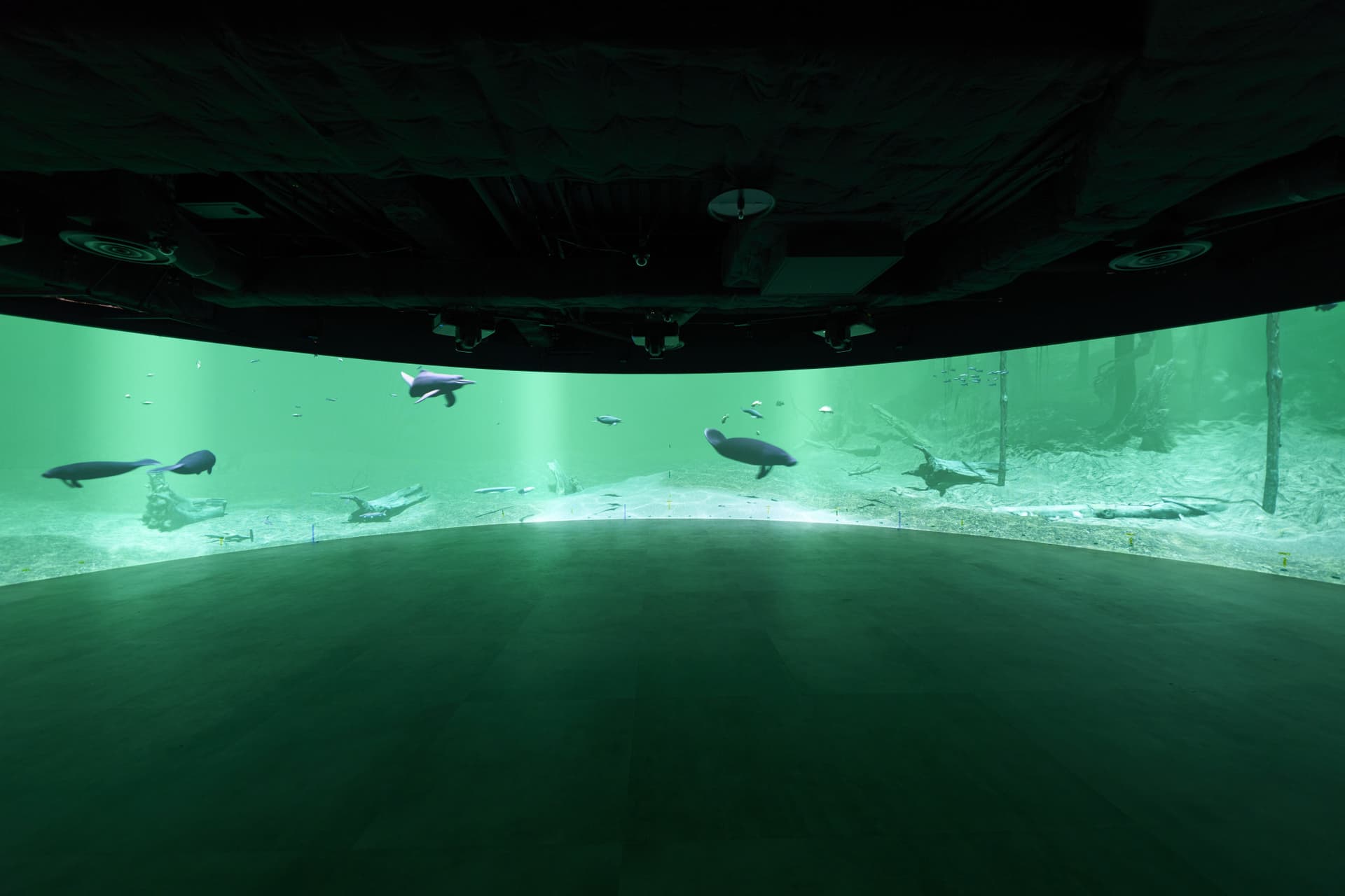 Kawasaki Aquarium Ticket - تصویر 10