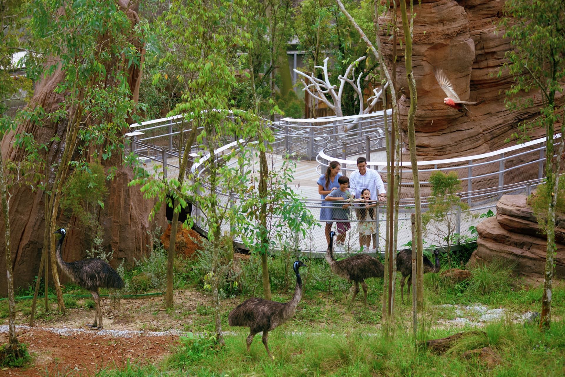 Singapore Bird Paradise Ticket - تصویر 12
