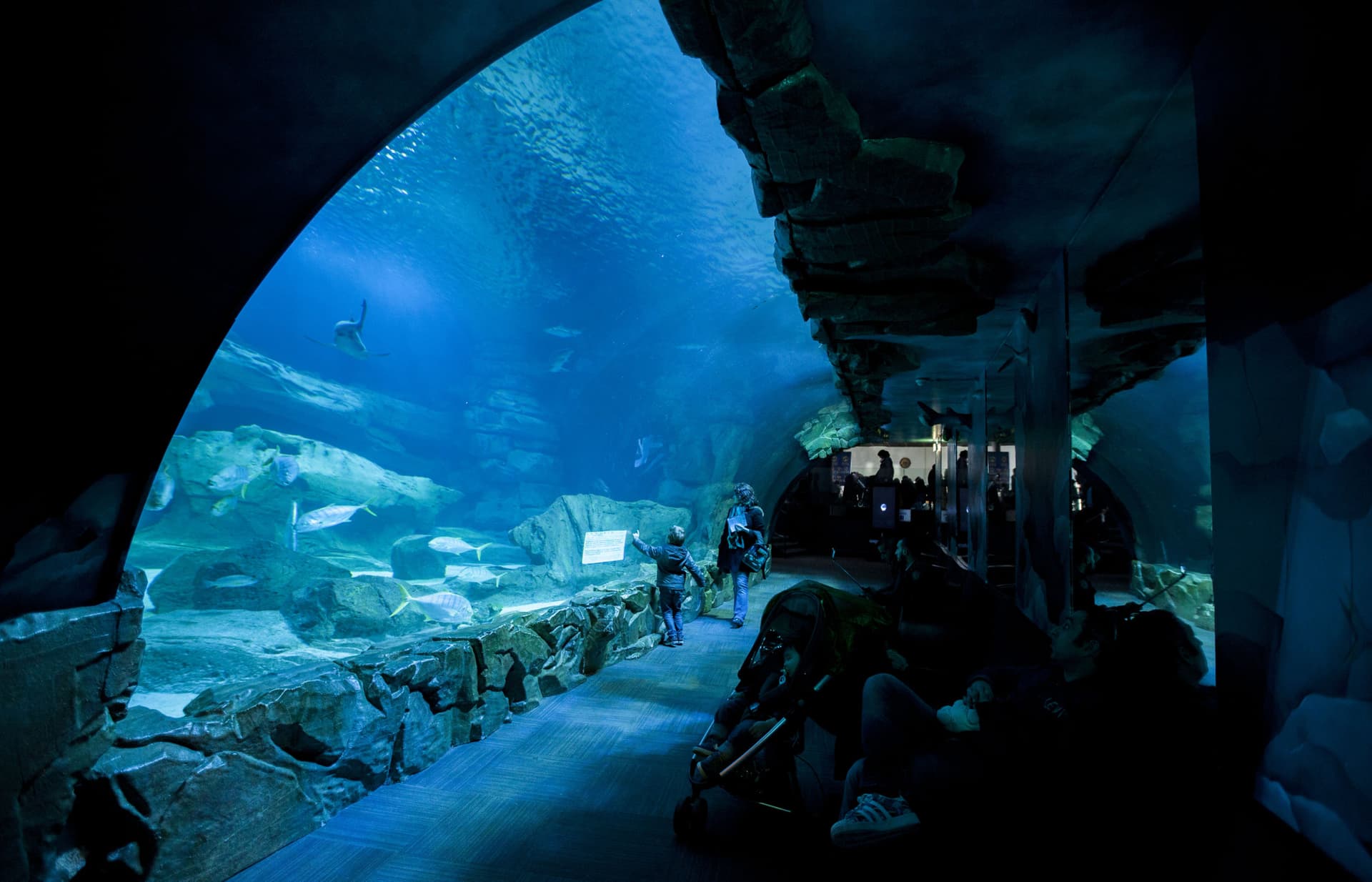 The Paris Pass: Save up to 50% on Attractions - تصویر 22