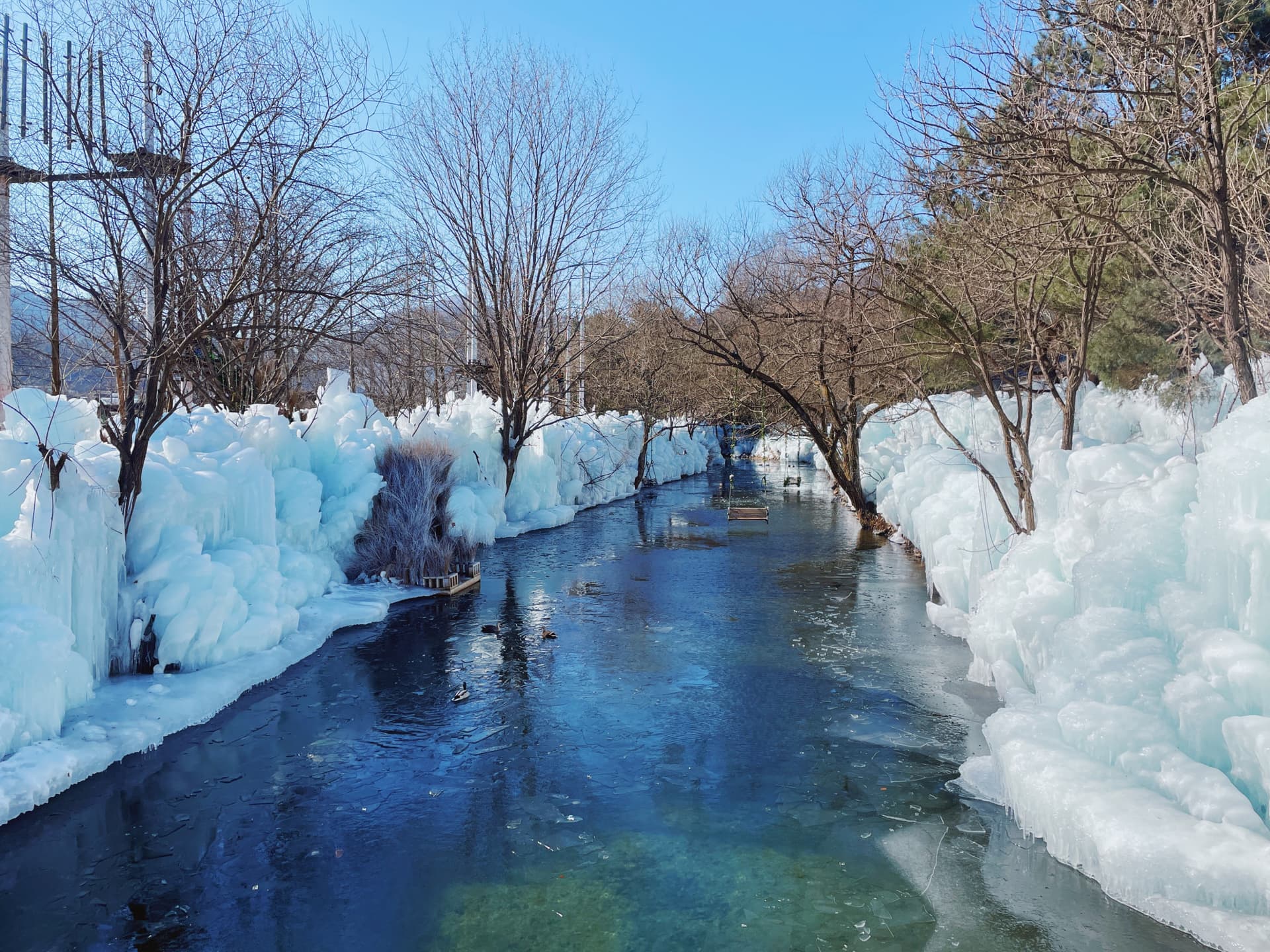 Gyeongju Kookmin Healing Park, Bulguksa, Woljeong Bridge, Gyochon Village Full-Day Tour from Busan - تصویر 14