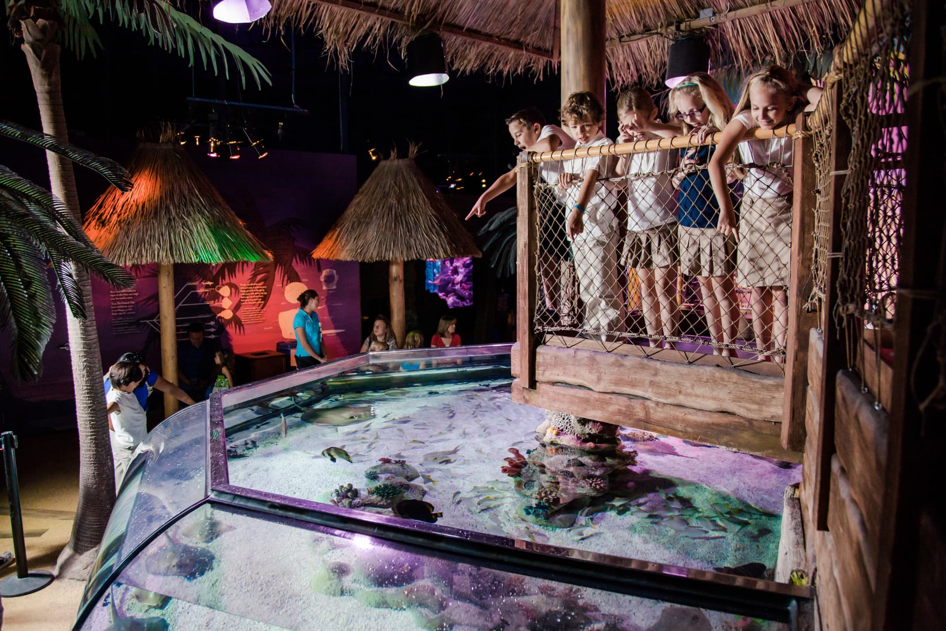 Go City San Antonio Essentials Pass: 3 Attractions - تصویر 10