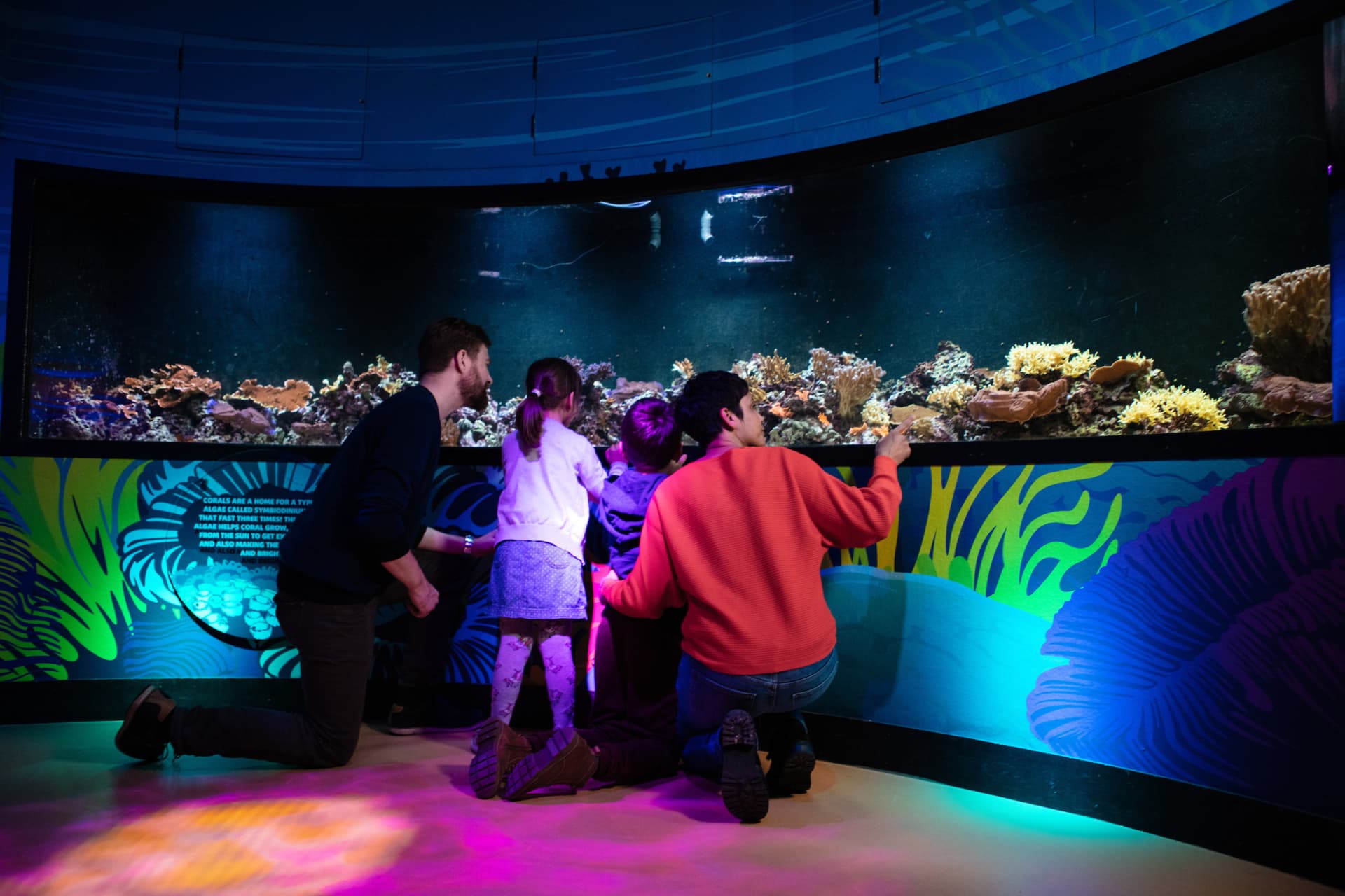COMBO: Madame Tussauds London + SEA LIFE London Aquarium Ticket - تصویر 10
