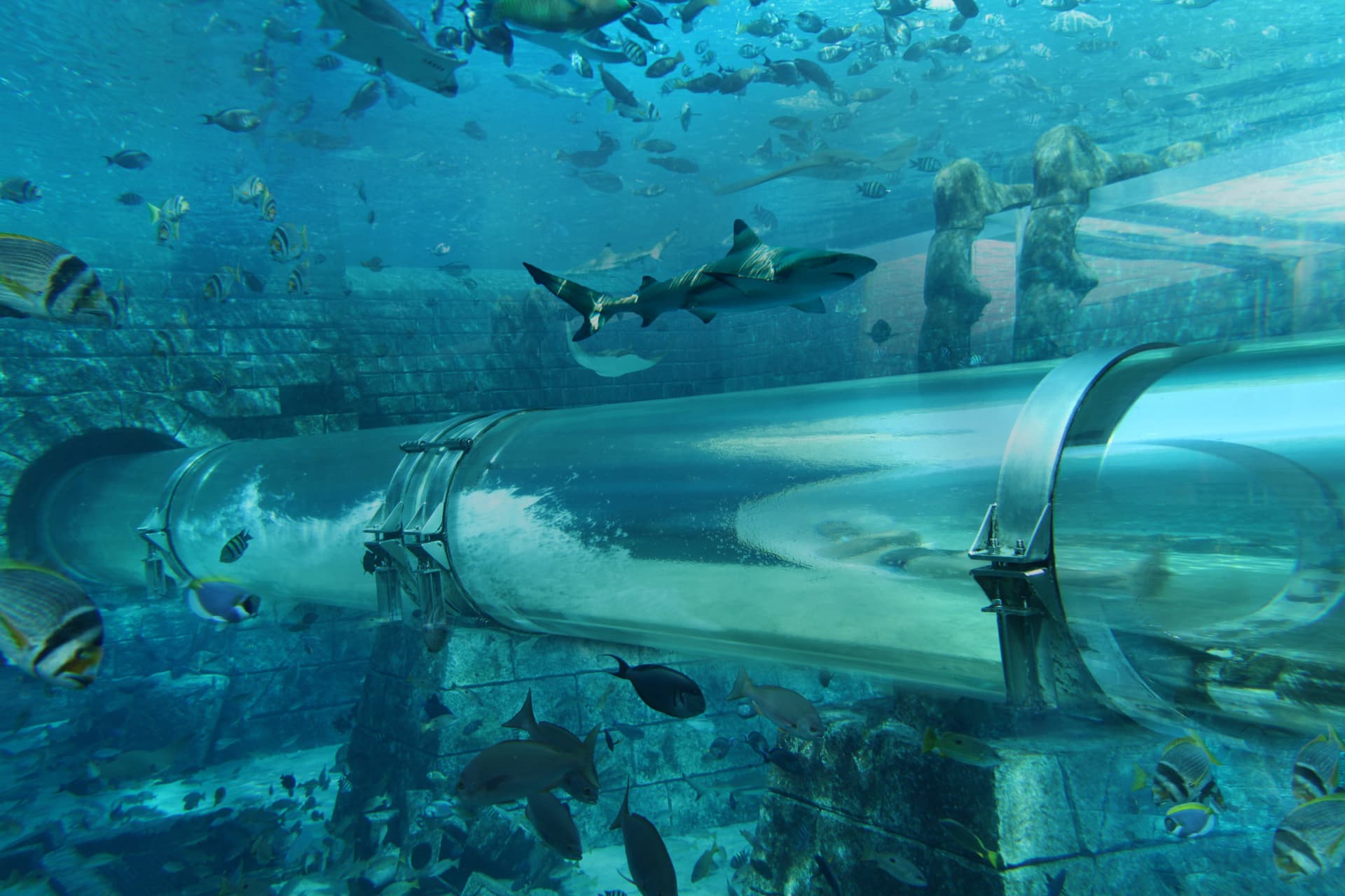 Atlantis Dubai Ticket - تصویر 7