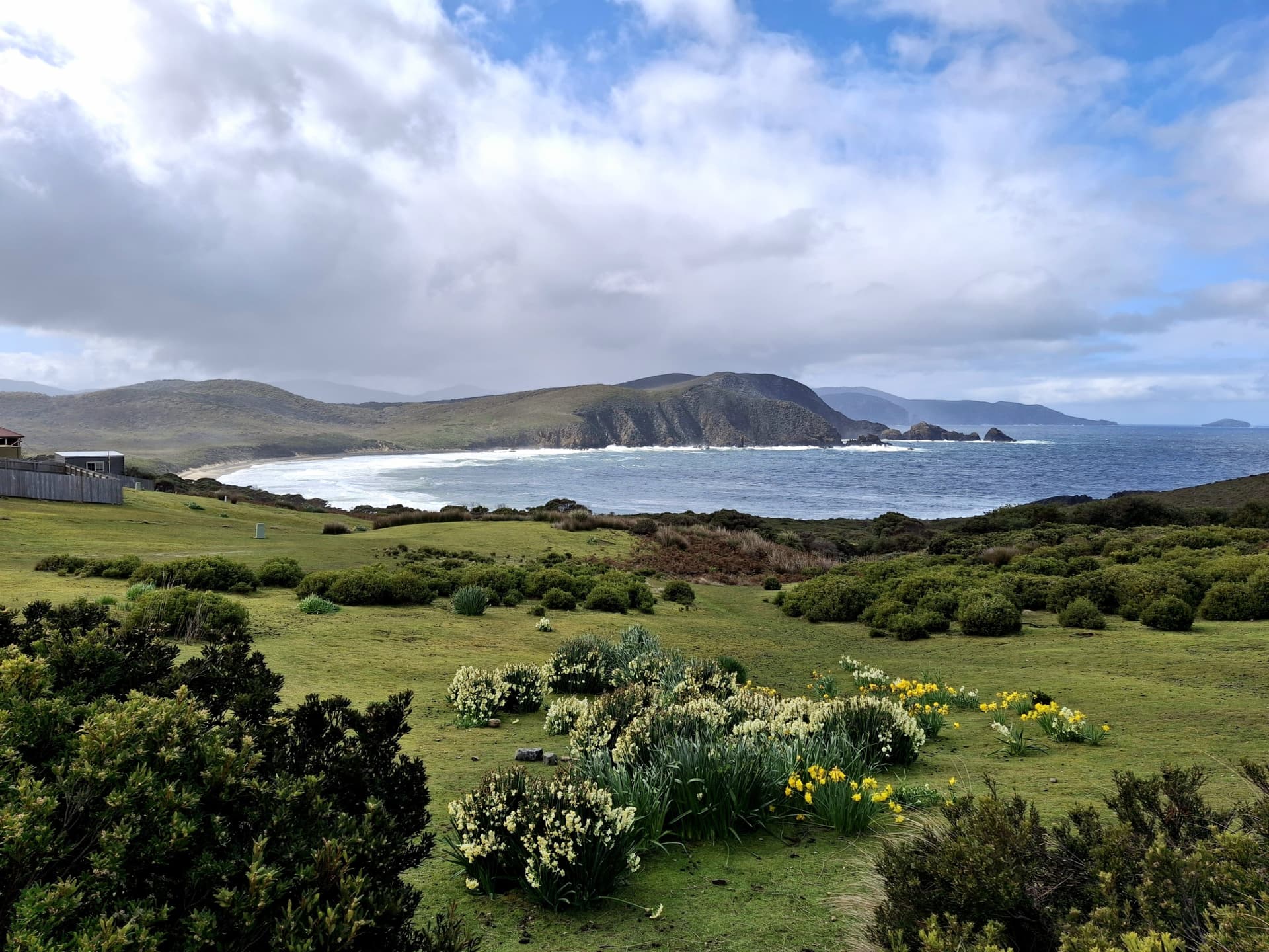 From Hobart | Bruny Island Food, Sightseeing and Lighthouse Tour - تصویر 4