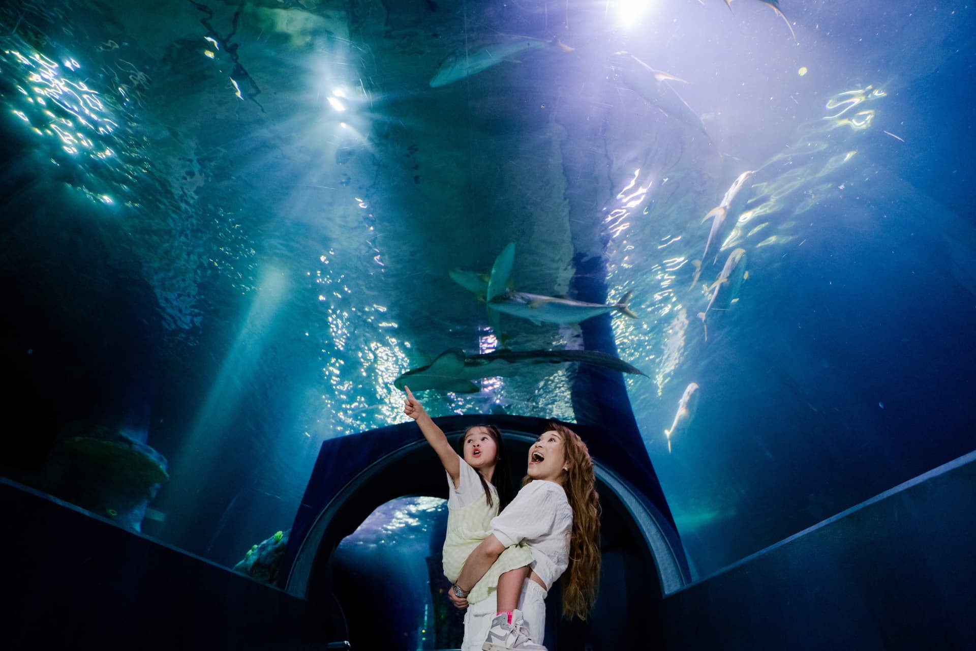 COMBO: Melbourne Skydeck + SEA LIFE Melbourne Aquarium Tickets - تصویر 6
