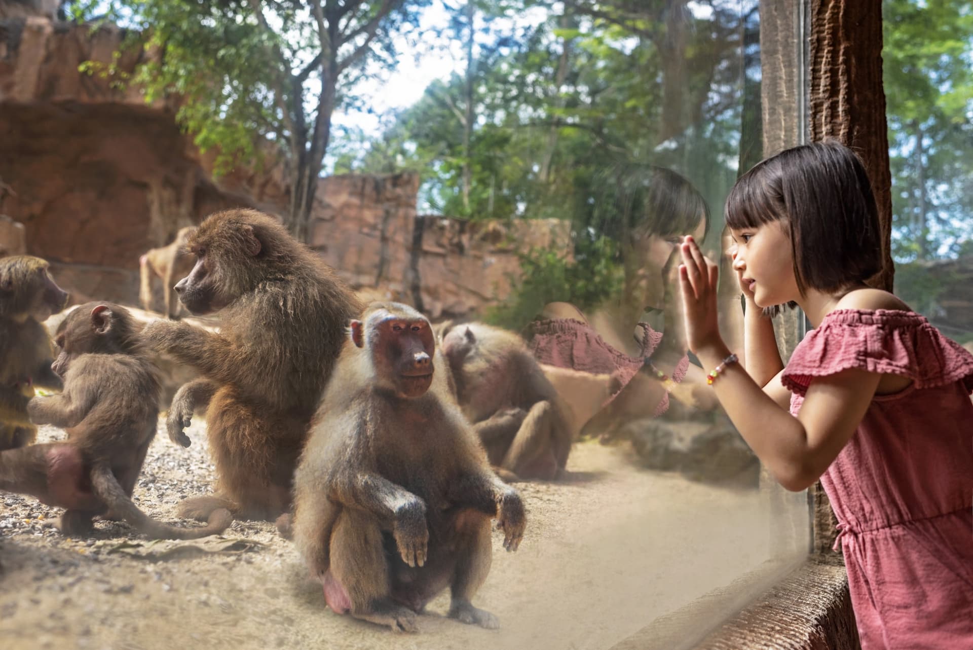 Singapore Zoo Ticket - تصویر 8