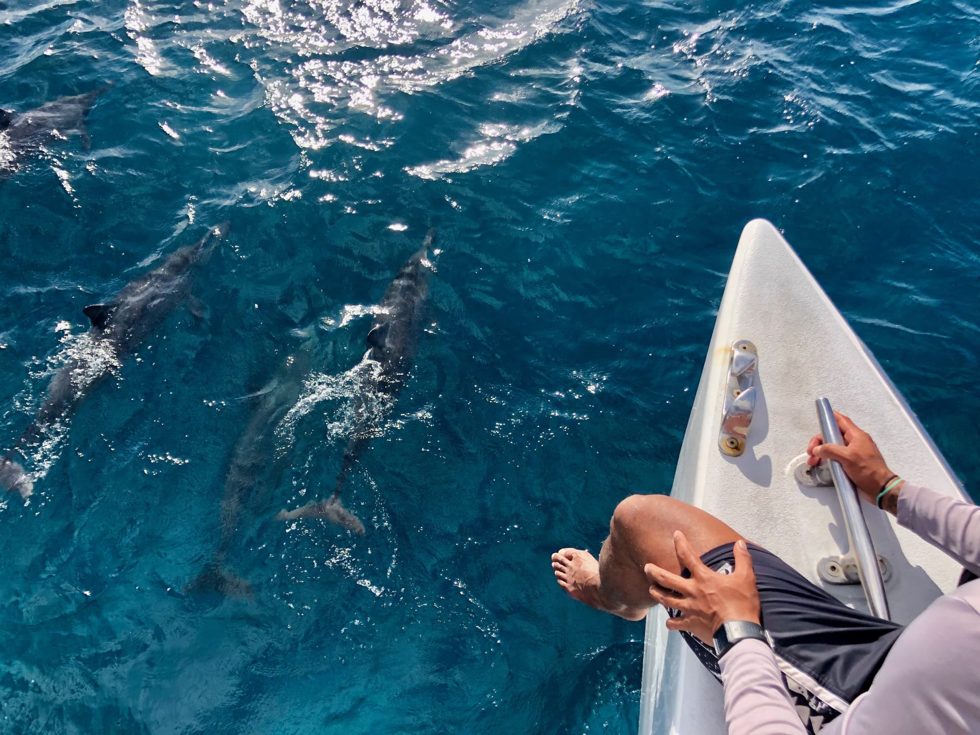 Go City Oahu Explorer Pass: Save up to 50% on Attractions - تصویر 9