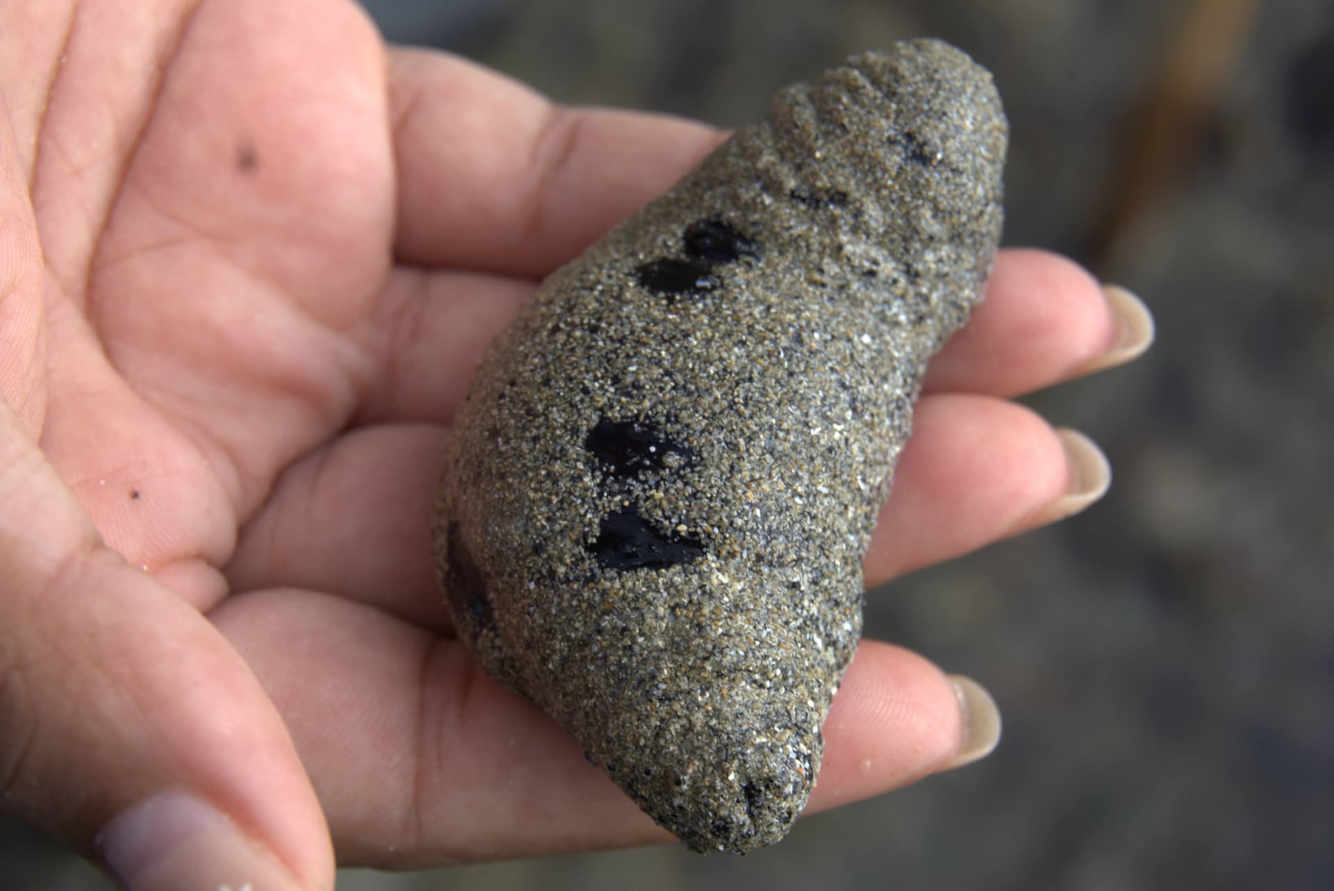 Desaru Beach and Tide Pool Walk - تصویر 28