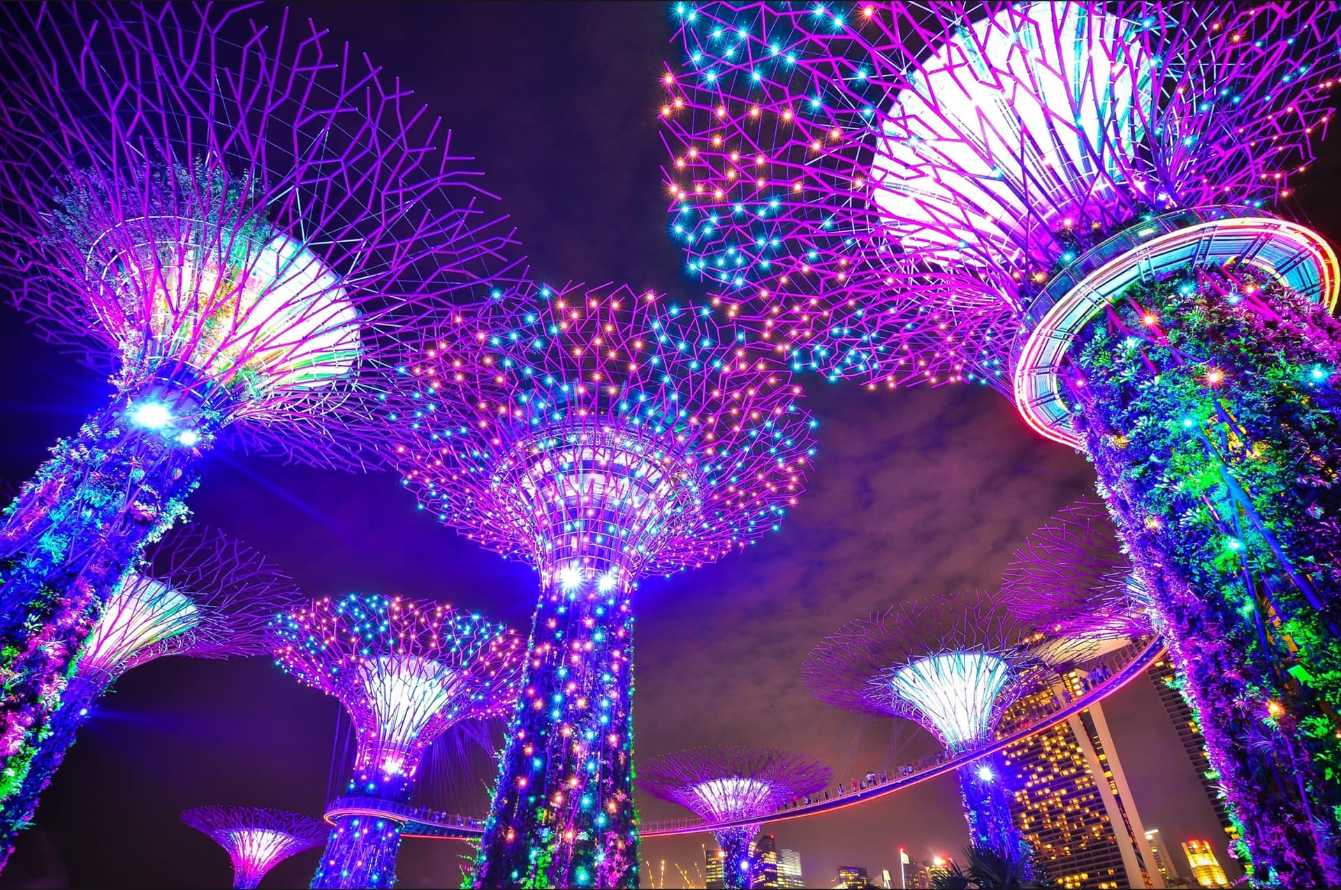 COMBO: Skyline Luge Singapore + Gardens by the Bay Ticket - تصویر 15