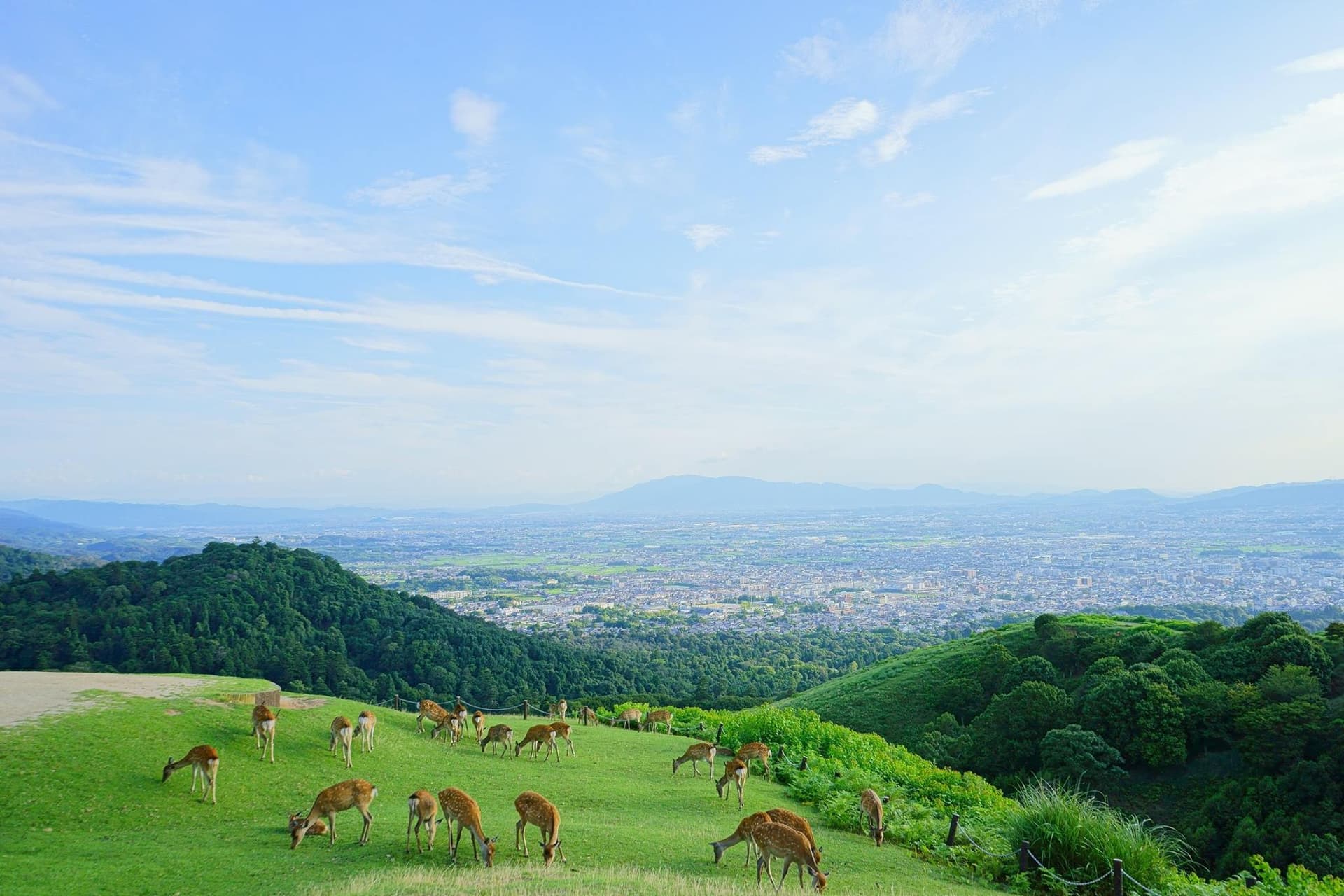 Kyoto and Nara Tour from Osaka - تصویر 3
