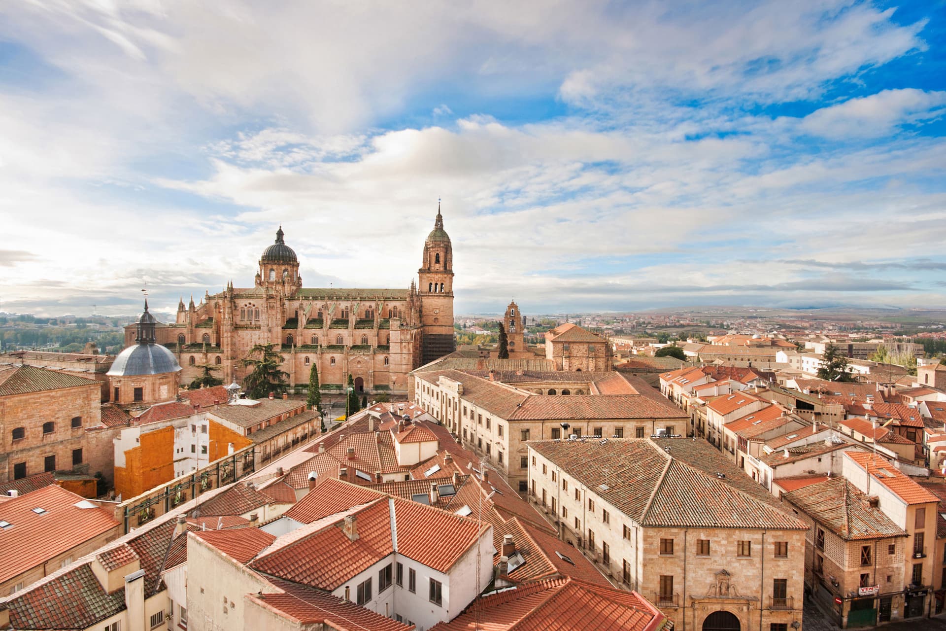 Salamanca and Avila Tour from Madrid - تصویر اصلی