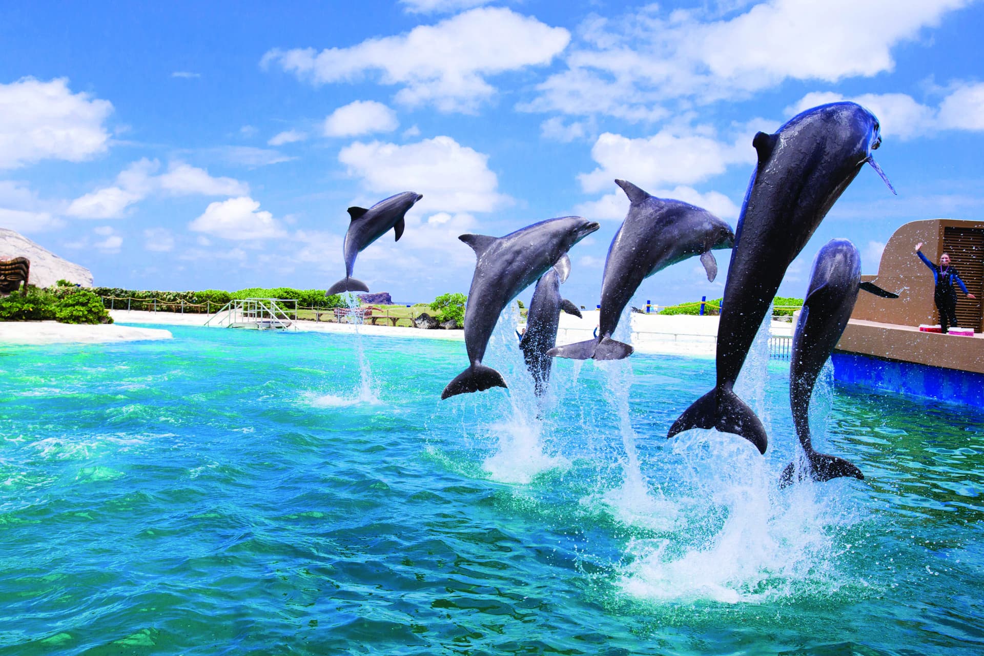 Go City Oahu Essentials Pass: 3 Attractions - تصویر 10