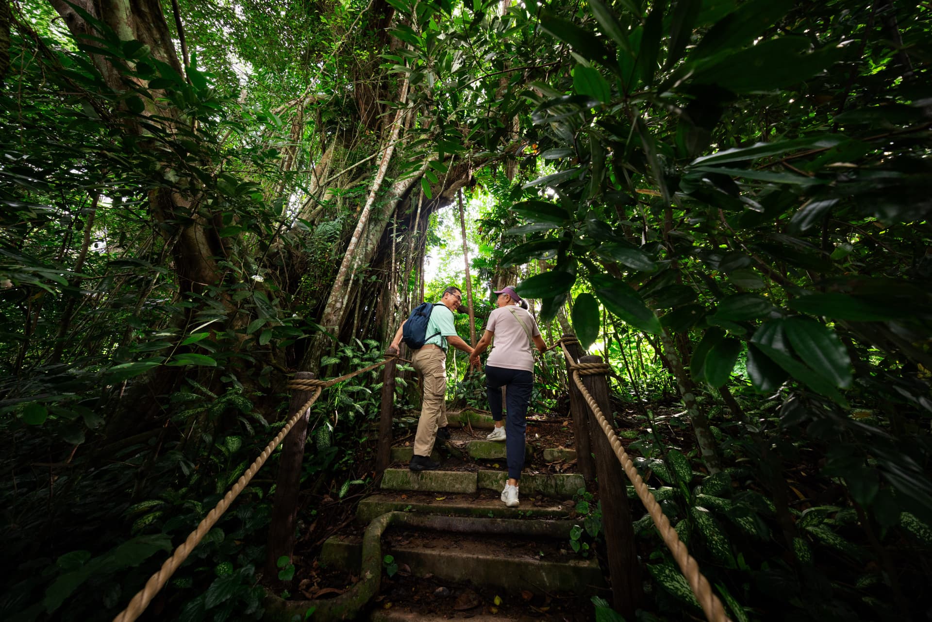 Mandai Destination Pass: Visit Up to 6 Attractions in 1 or 5 Days - تصویر 22