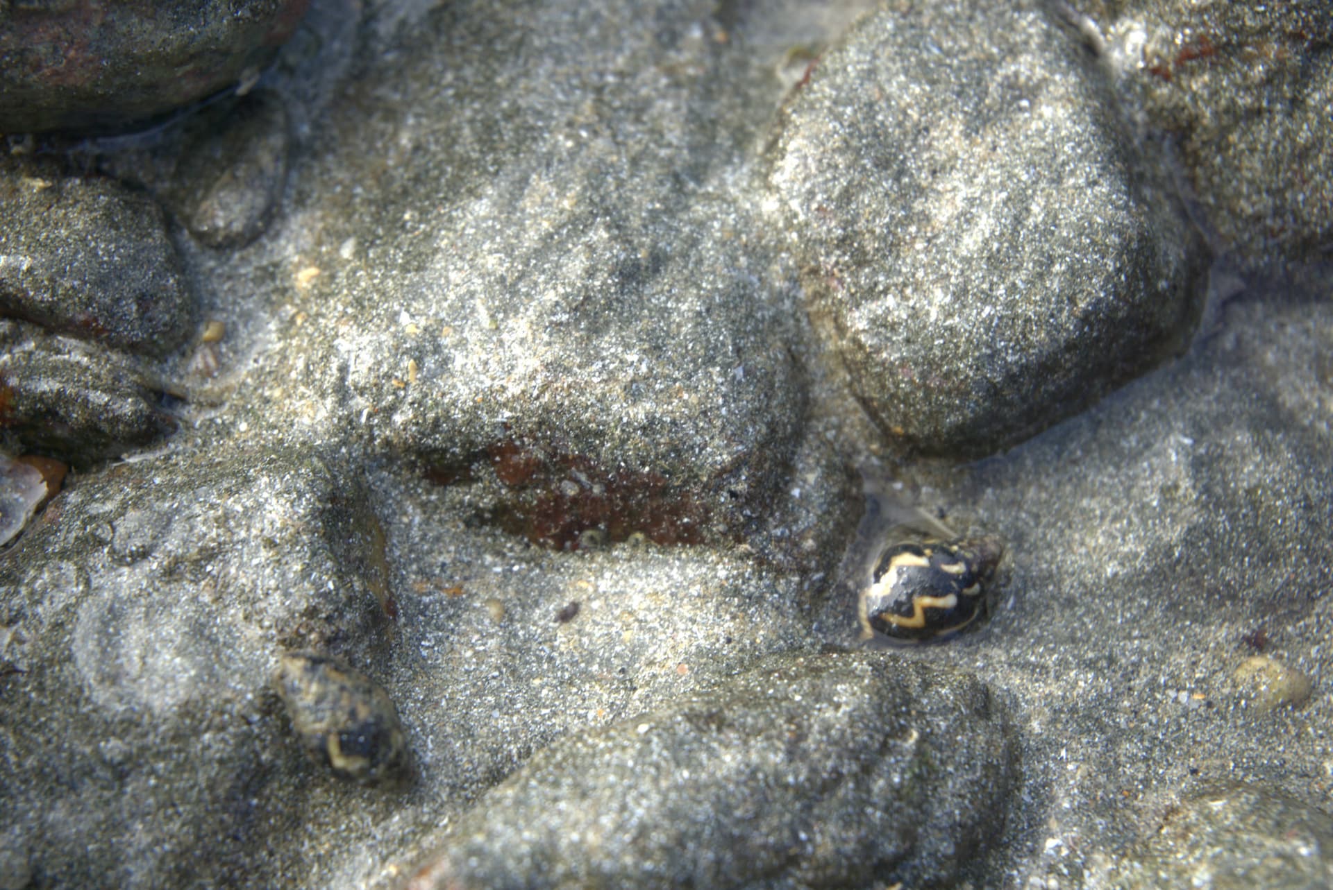 Desaru Beach and Tide Pool Walk - تصویر 25