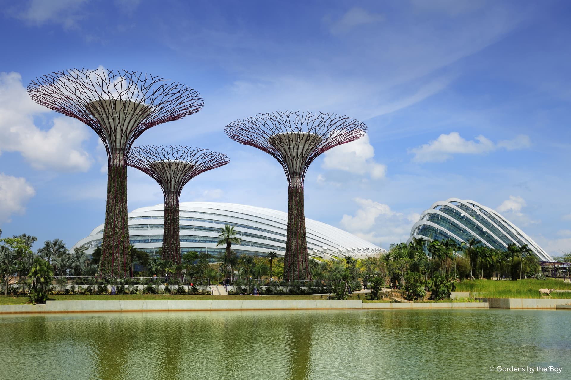 Gardens by the Bay Ticket - تصویر 14