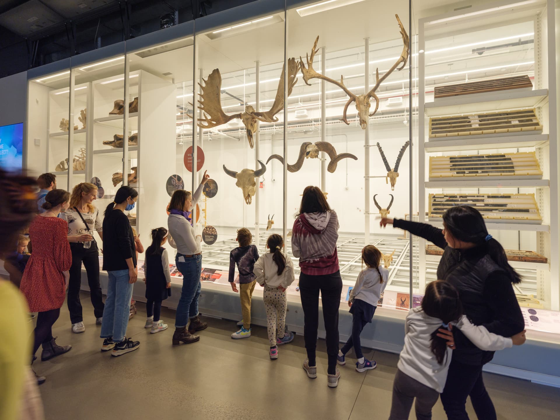 American Museum of Natural History Ticket - تصویر 6