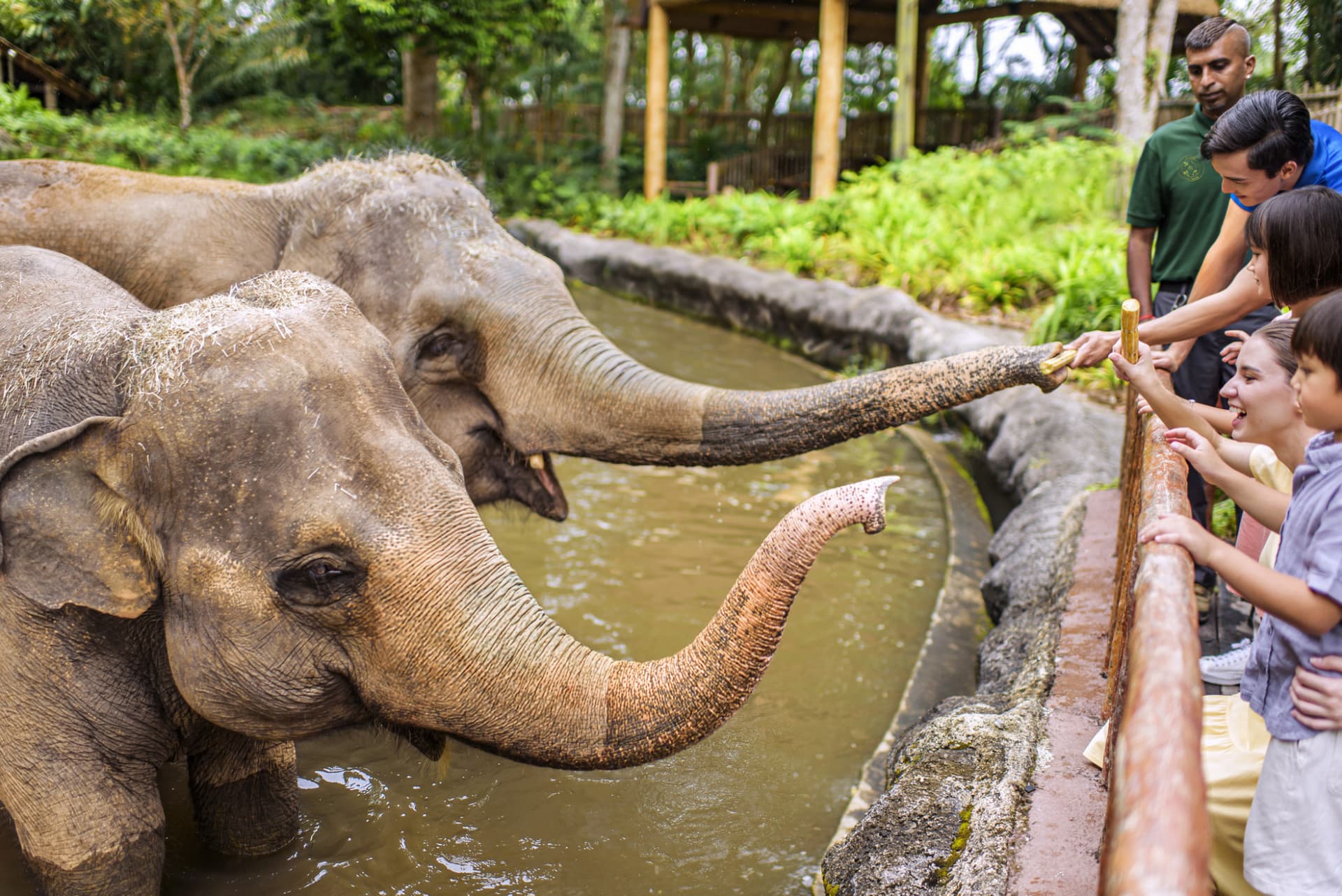 Singapore Zoo Ticket - تصویر 5
