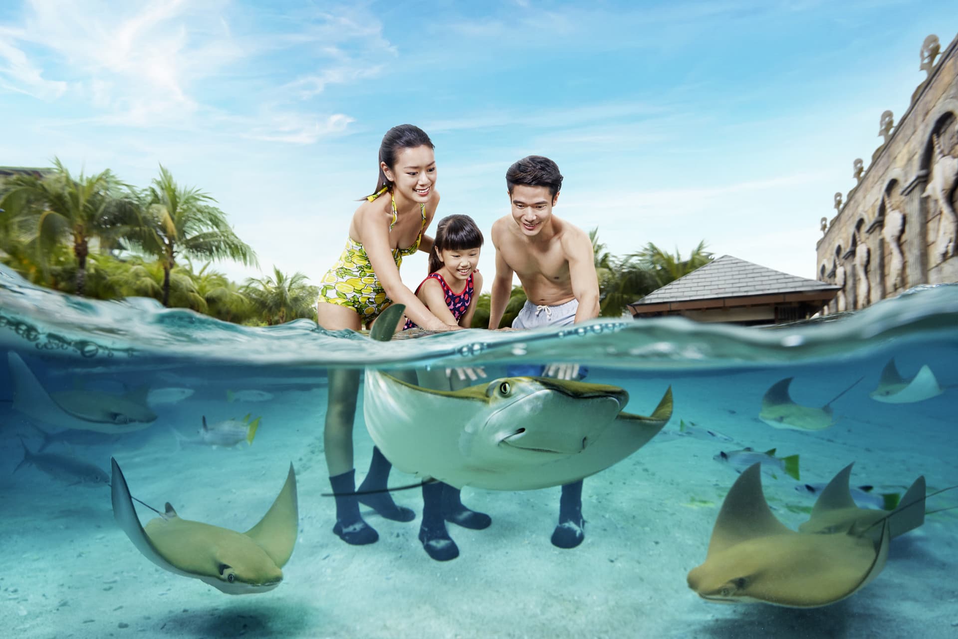 COMBO: Adventure Cove Waterpark + Gardens by the Bay Ticket - تصویر 2