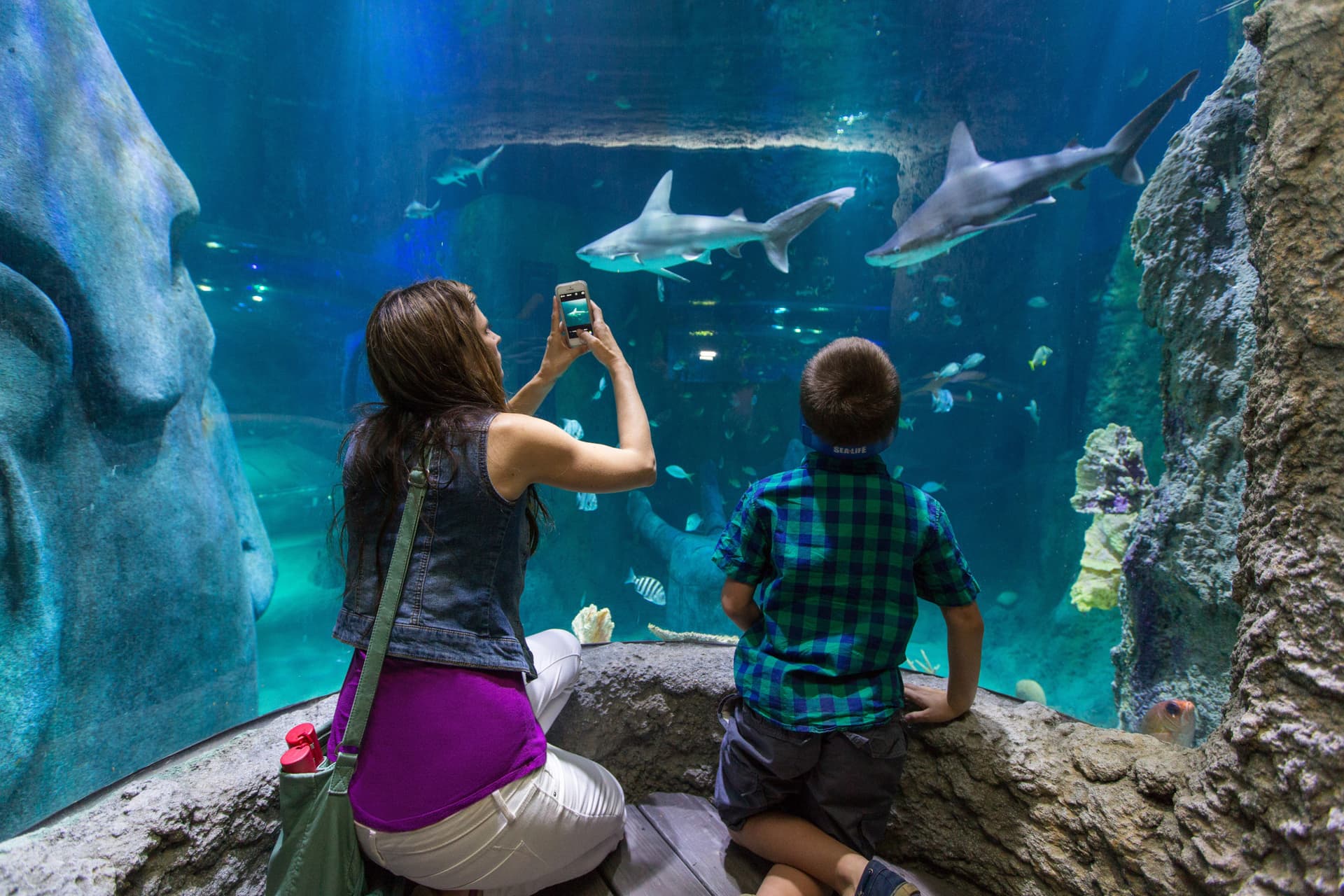 Go City Orlando Essentials Pass: 3 Attractions - تصویر 13