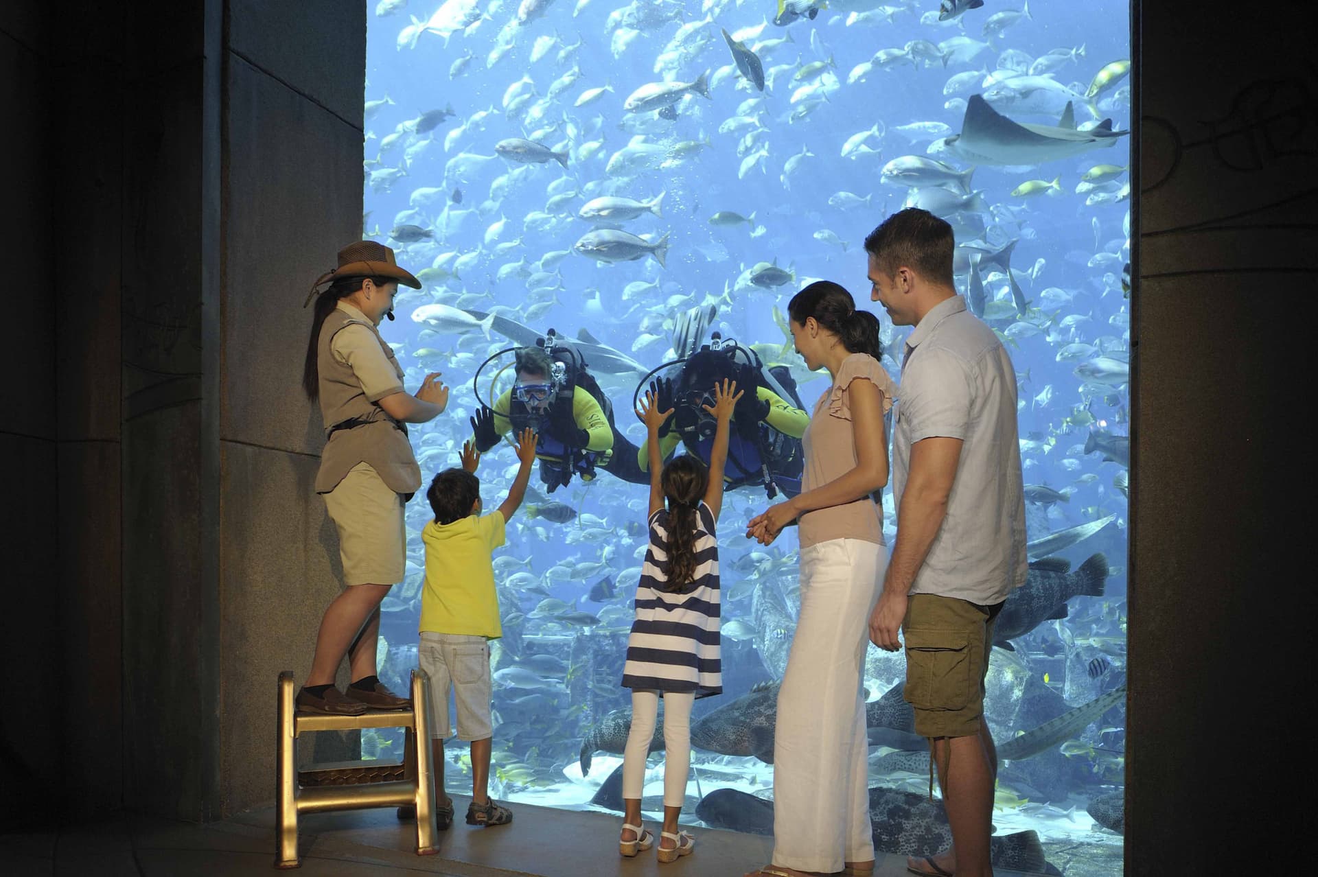 Atlantis Aquaventure World Dubai - The Lost World Aquarium Ticket - تصویر 10