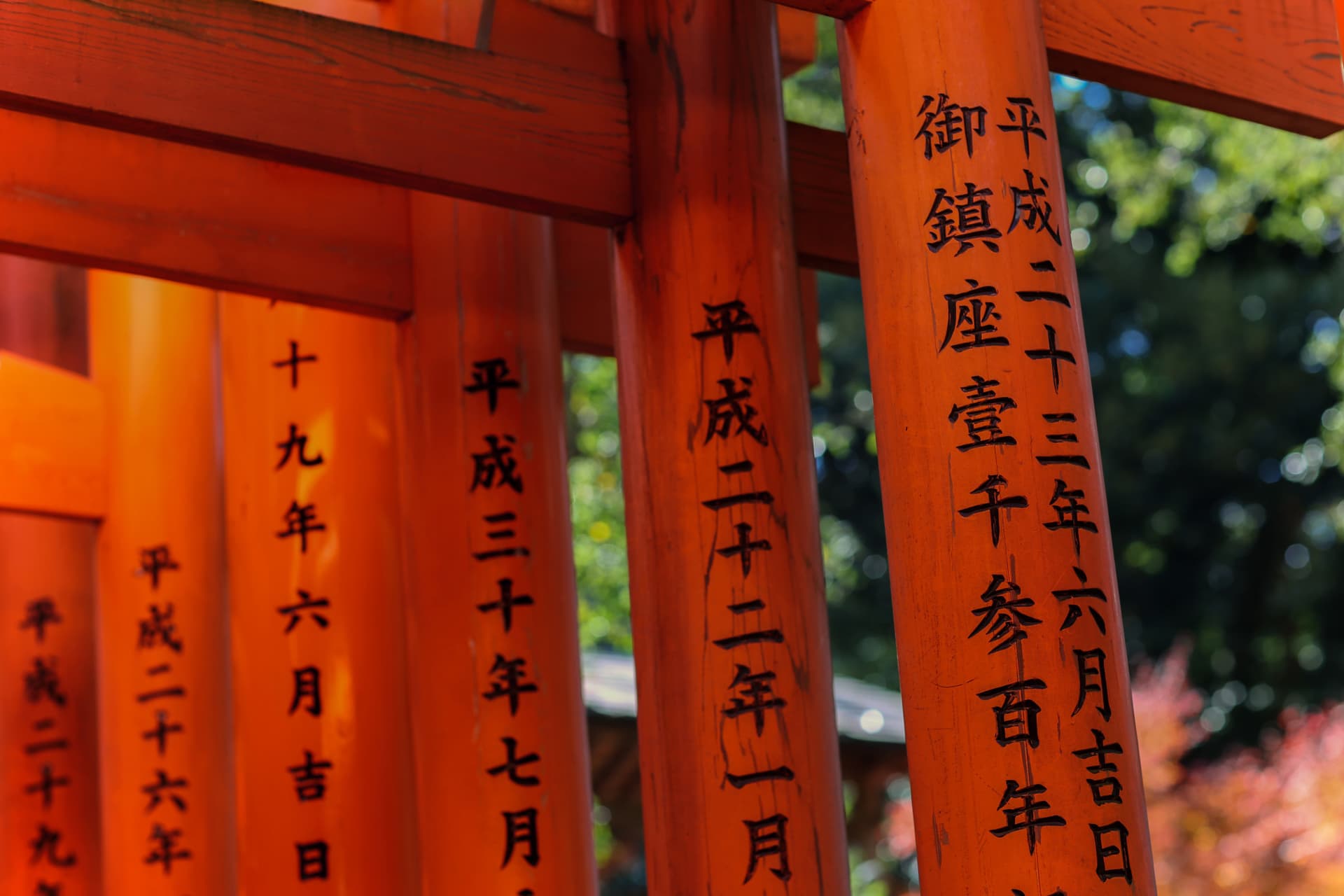 Kyoto and Nara Full-Day Tour from Osaka: Kiyomizudera Area, Fushimi Inari Taisha, Nara Park - تصویر 6