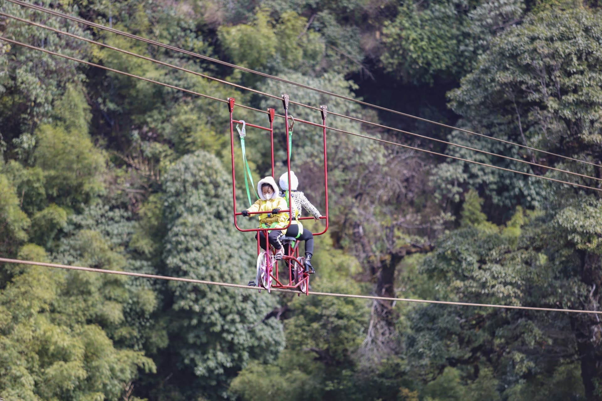 Rong May Glass Bottom Bridge Ticket in Sapa - تصویر 5
