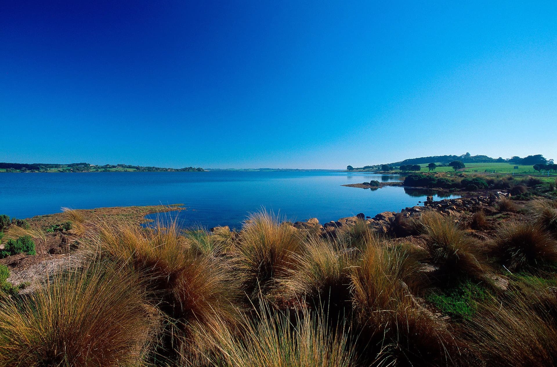 Churchill Island Ticket - تصویر 2
