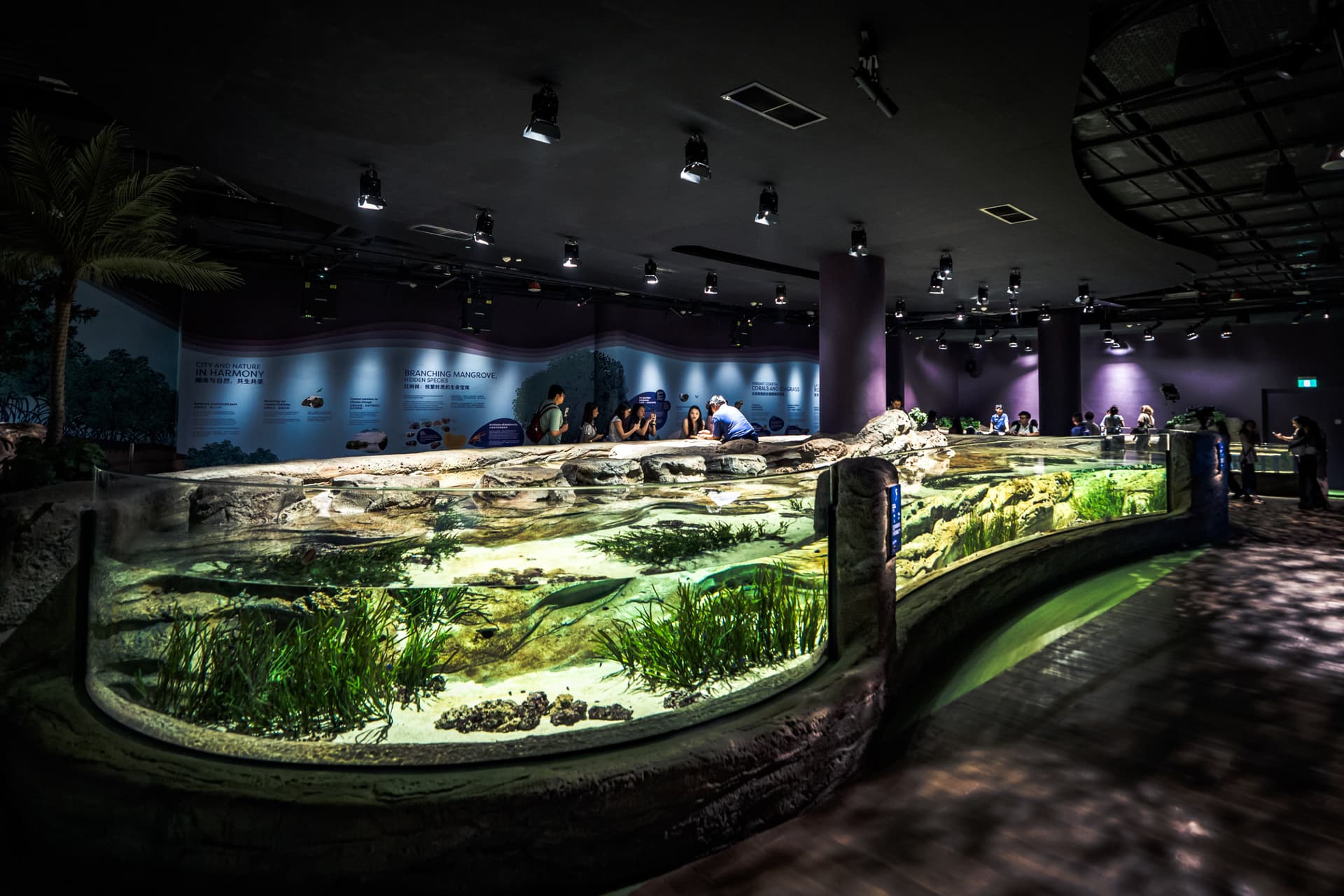 Singapore Oceanarium Ticket - تصویر 11