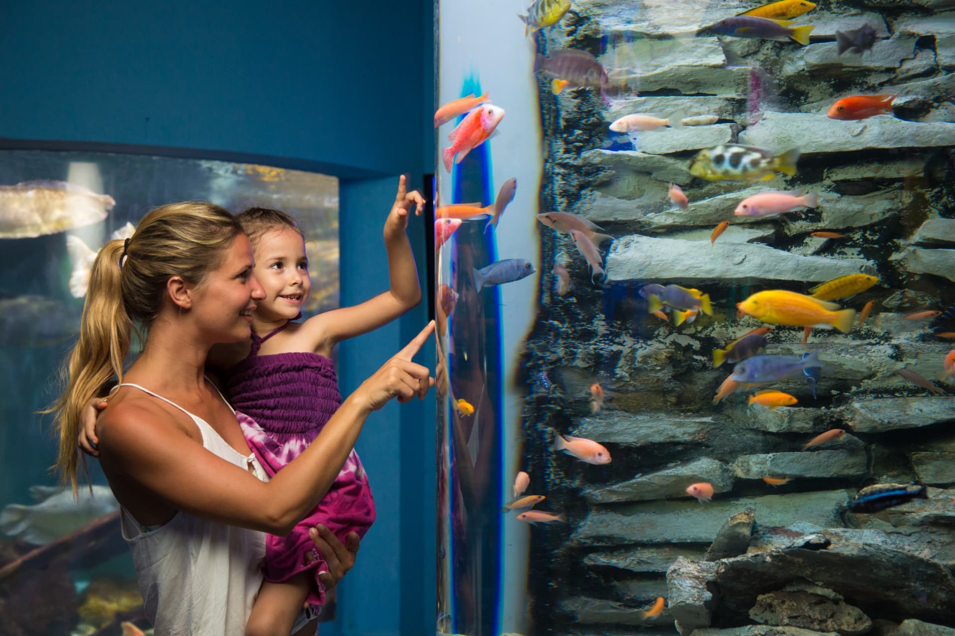 Go City Cancun Essentials Pass: 3 Attractions - تصویر 16