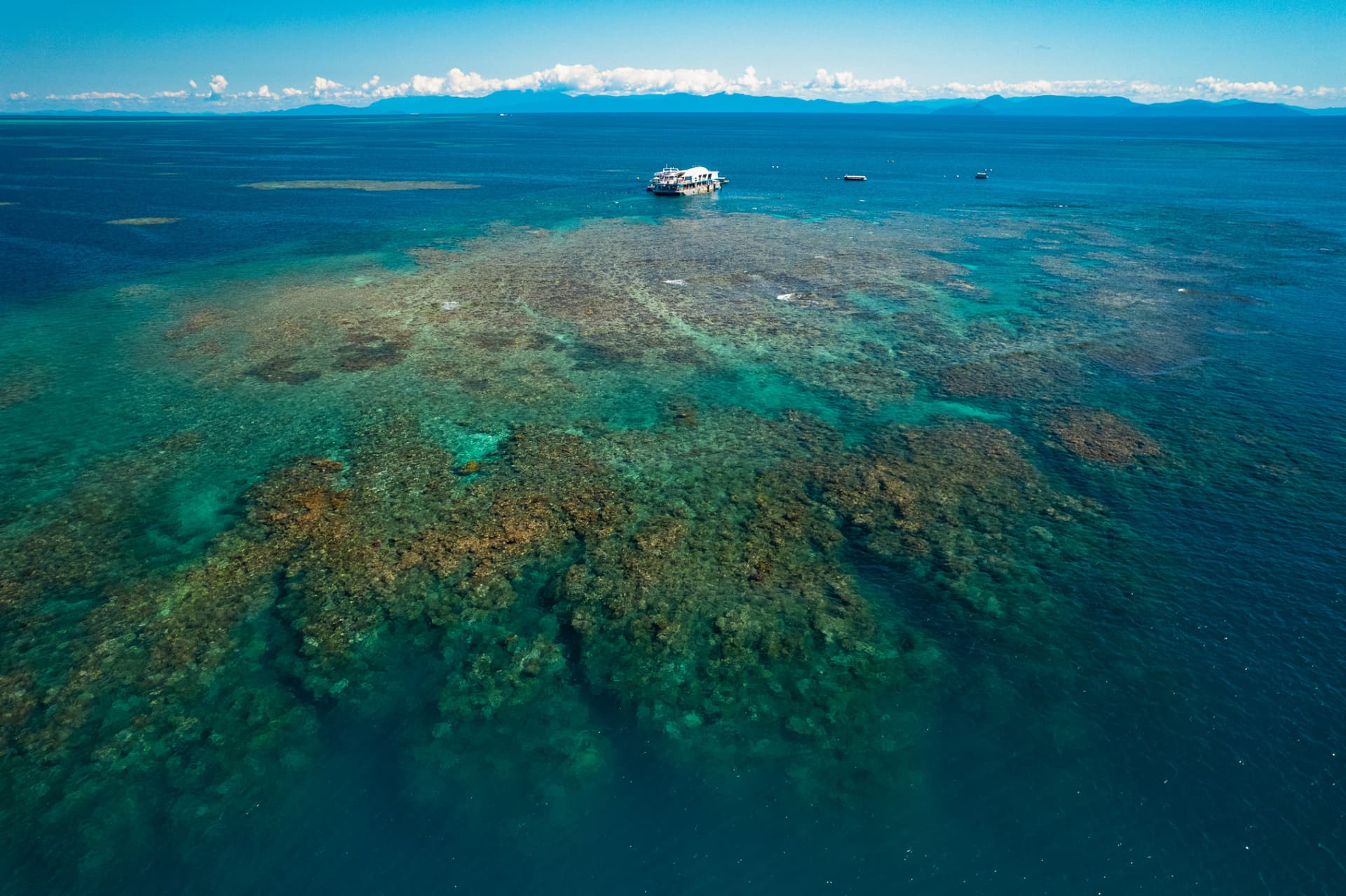 Reef Magic Pontoon Tour from Cairns - تصویر 8