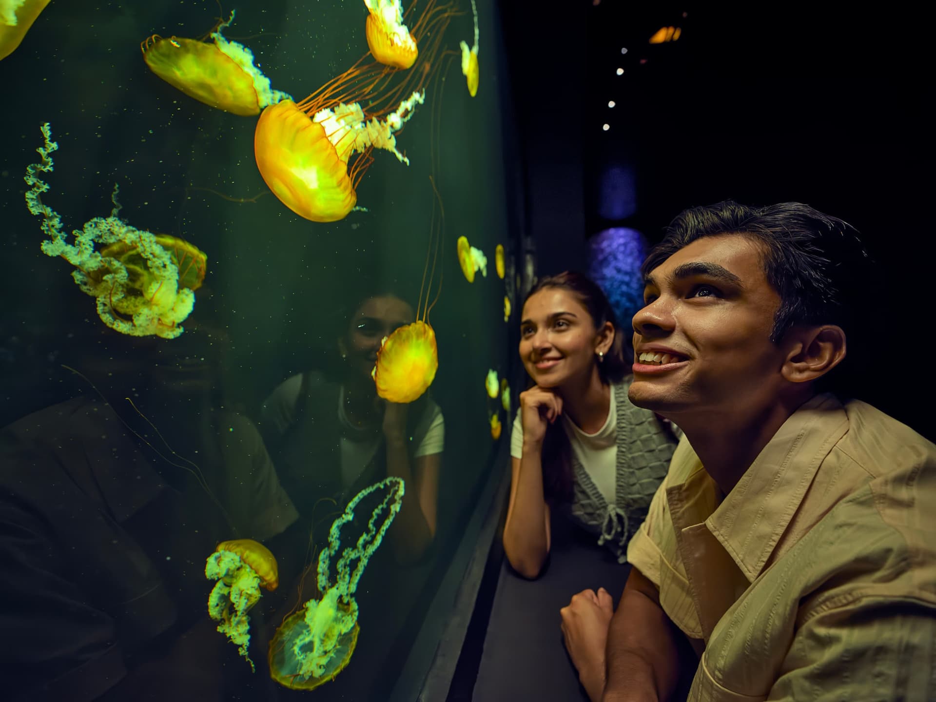 Singapore Oceanarium Ticket - تصویر 7