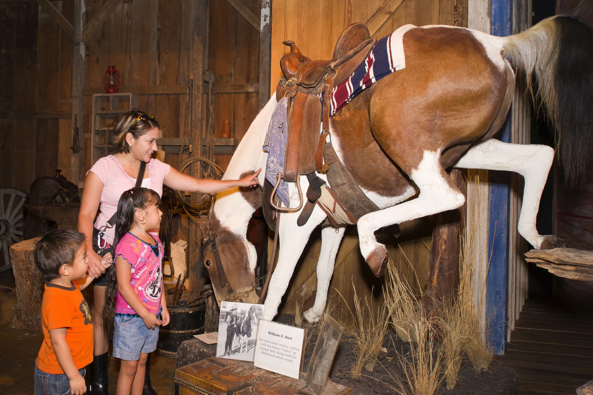 Go City San Antonio Essentials Pass: 3 Attractions - تصویر 16