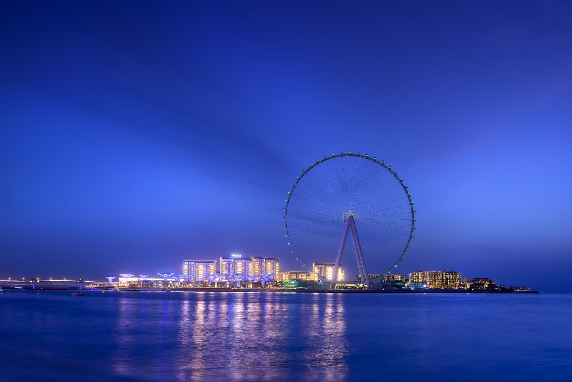 COMBO: Ain Dubai + The Green Planet Tickets - تصویر 4