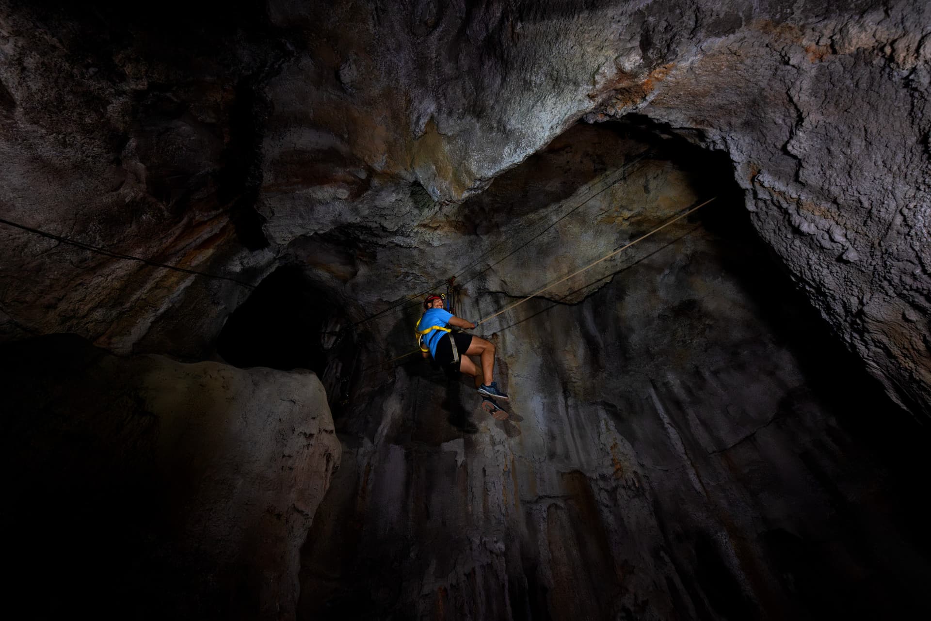 Mandai Destination Pass: Up to 2 Attractions in 1 Day - تصویر 9