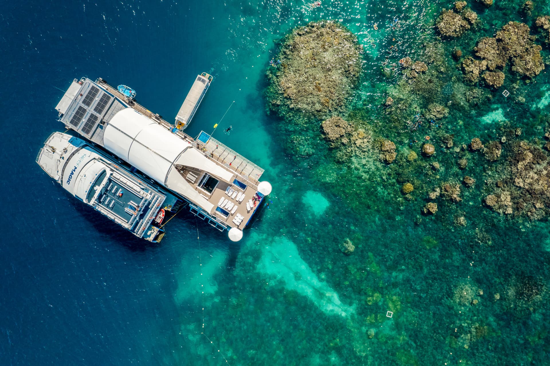 Reef Magic Pontoon Tour from Cairns - تصویر 7