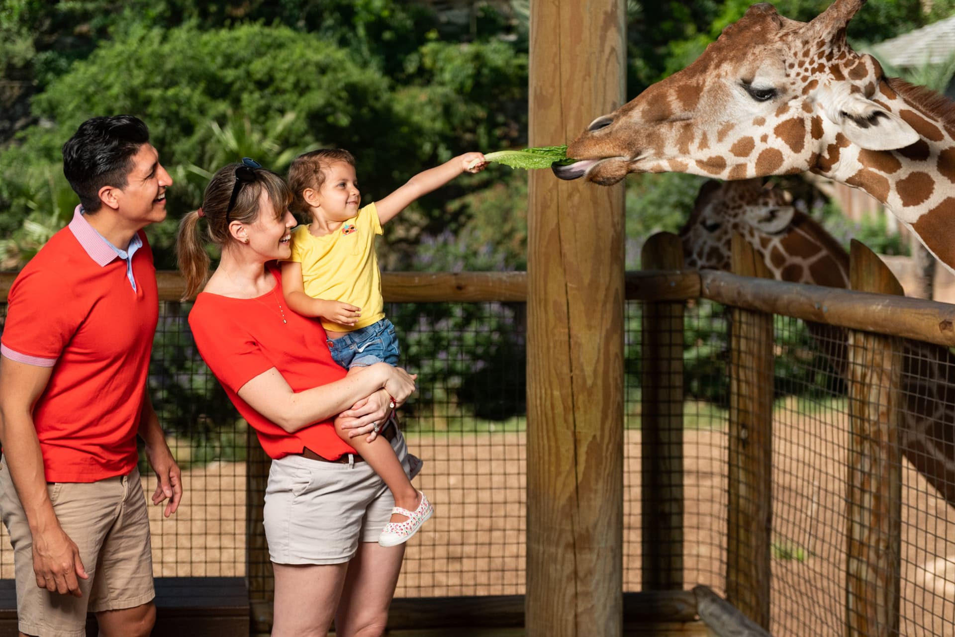 Go City San Antonio Essentials Pass: 3 Attractions - تصویر 4