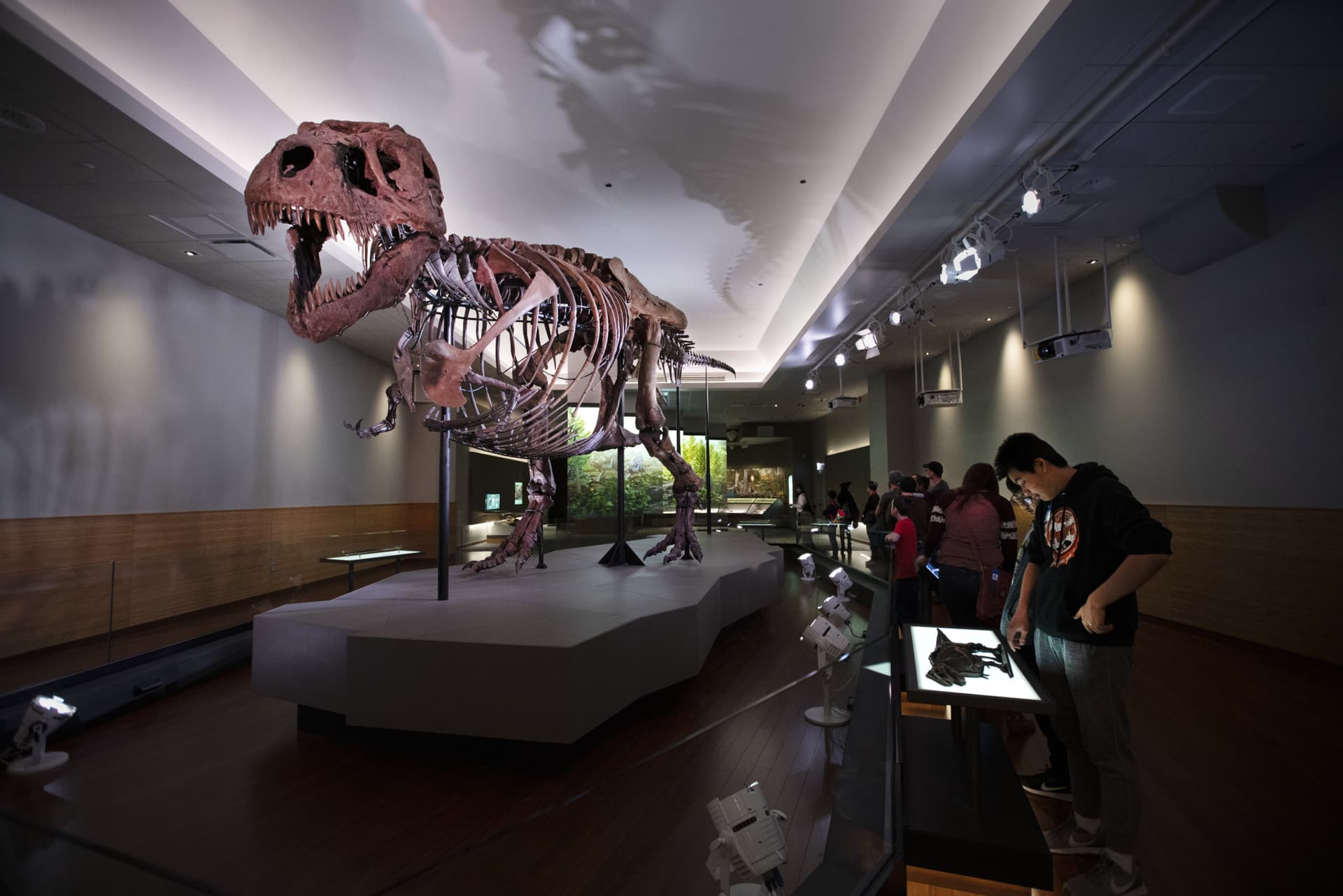 Go City Chicago All-Inclusive Pass: Save up to 50% on Attractions - تصویر 32