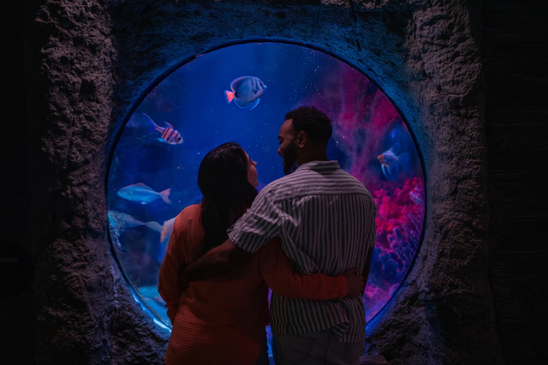 SEA LIFE Orlando Aquarium Ticket - تصویر 9