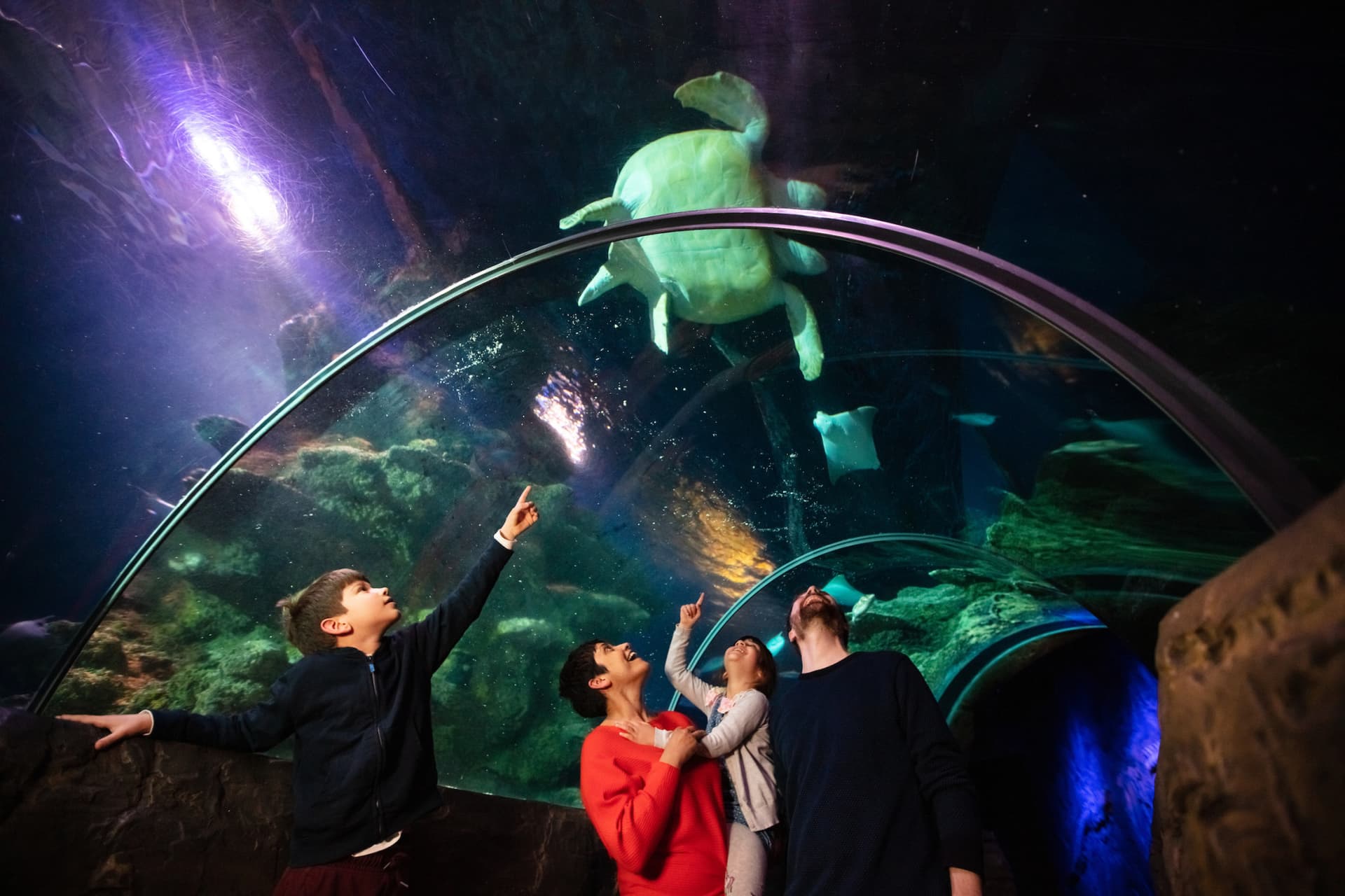 COMBO: Madame Tussauds London + SEA LIFE London Aquarium Ticket - تصویر 8