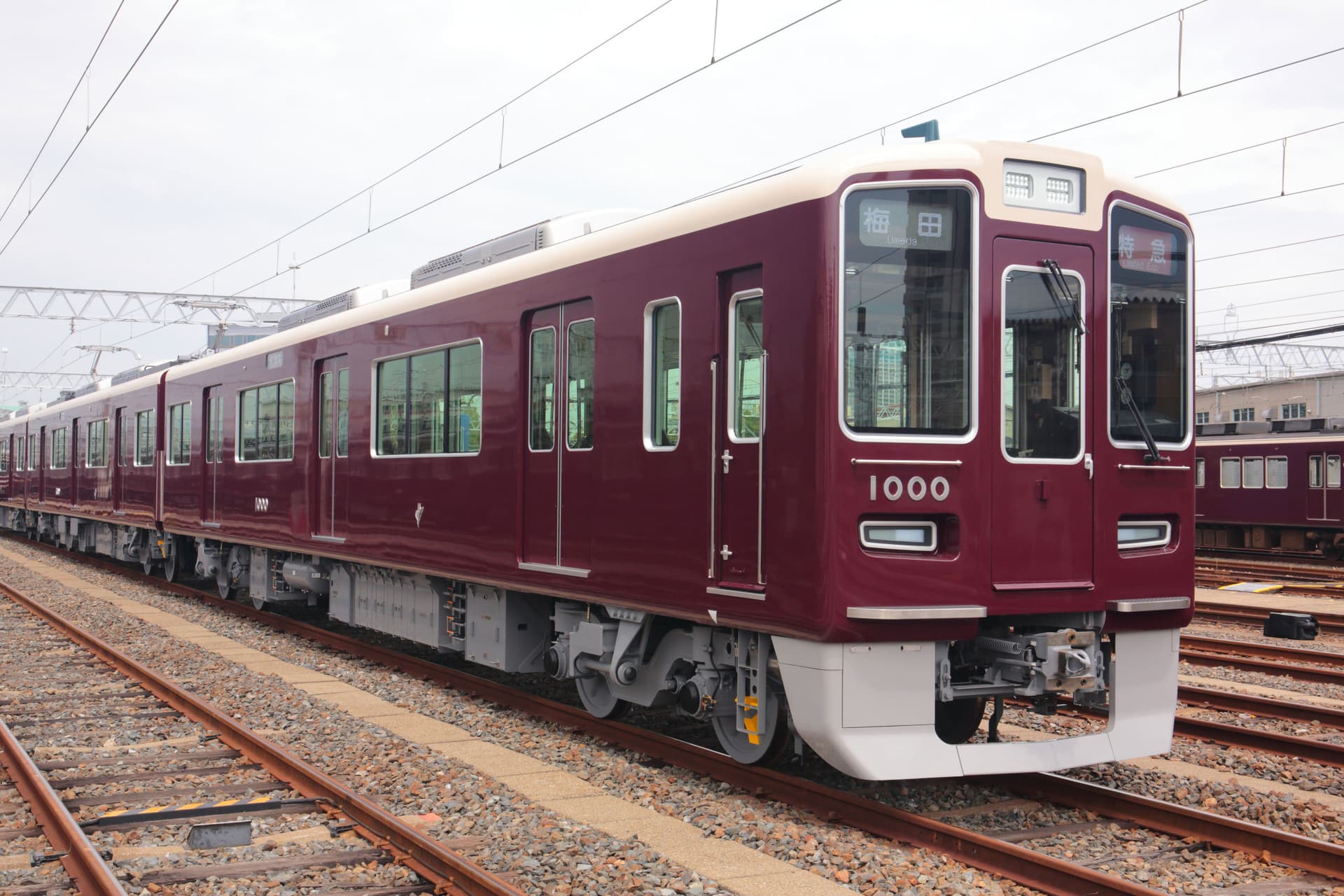 Kansai Railway Pass Lite - تصویر 4