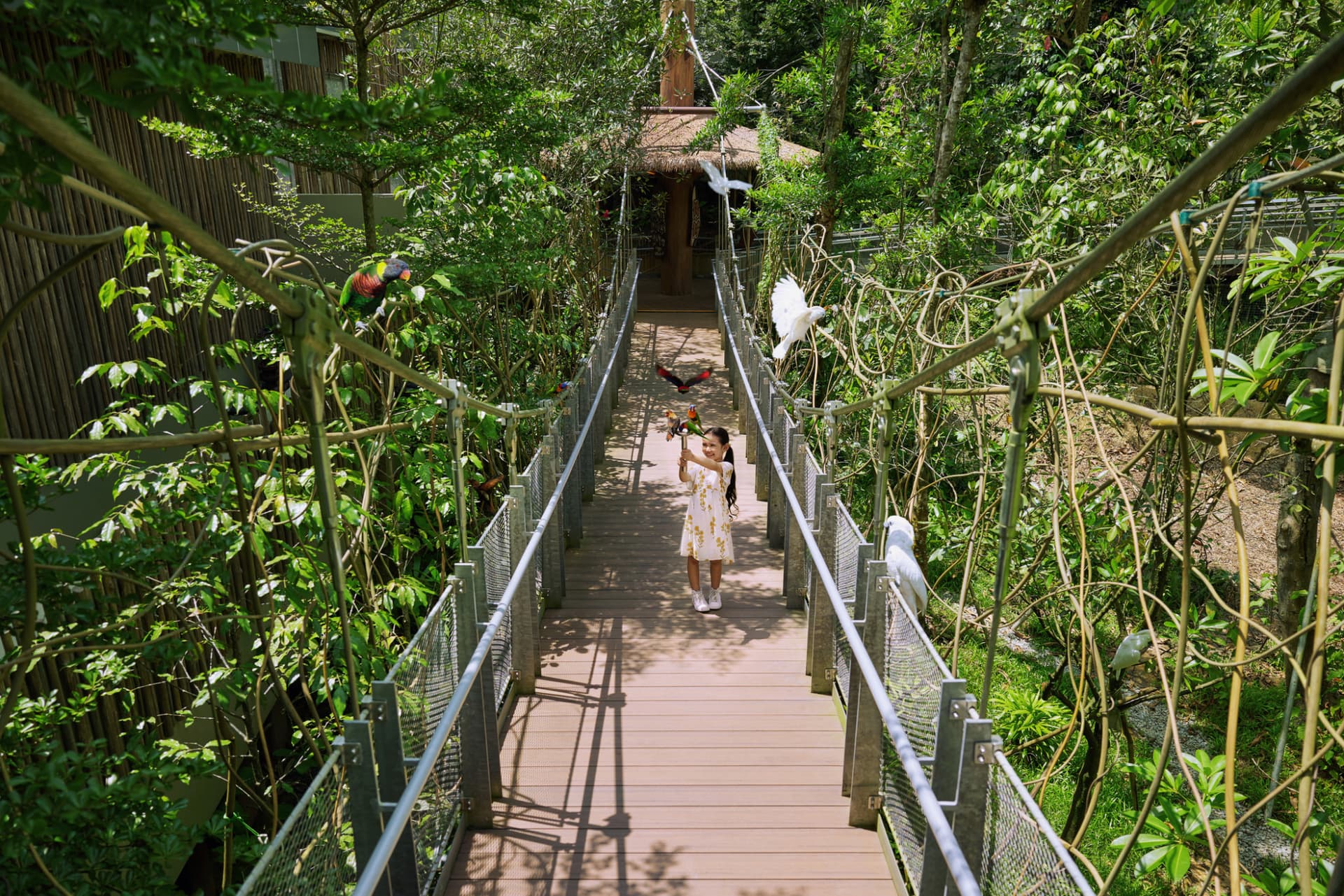 Mandai Destination Pass: Visit Up to 6 Attractions in 1 or 5 Days - تصویر 18