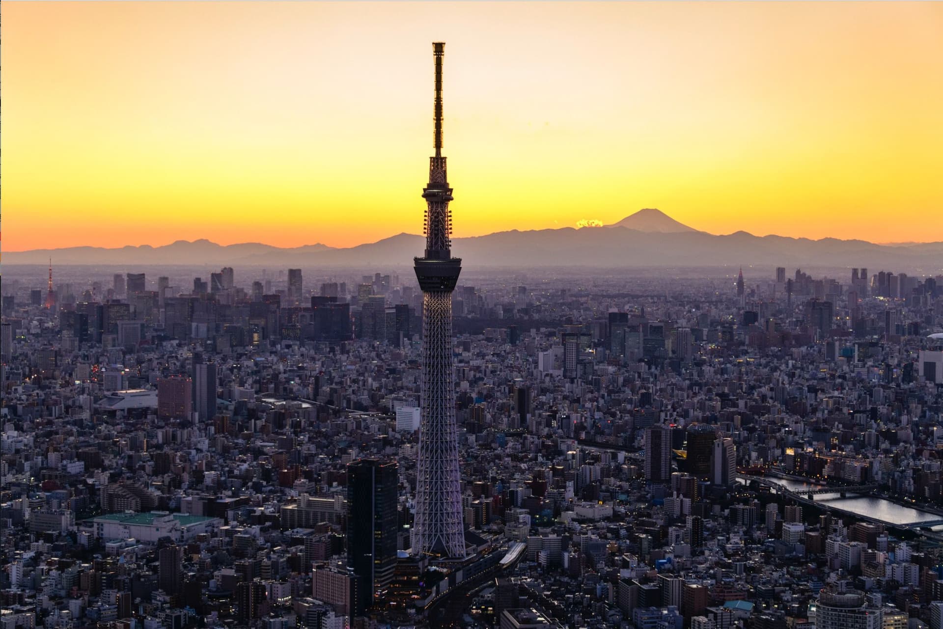 COMBO: Tokyo Skytree + teamLab Planets TOKYO Tickets - تصویر 4